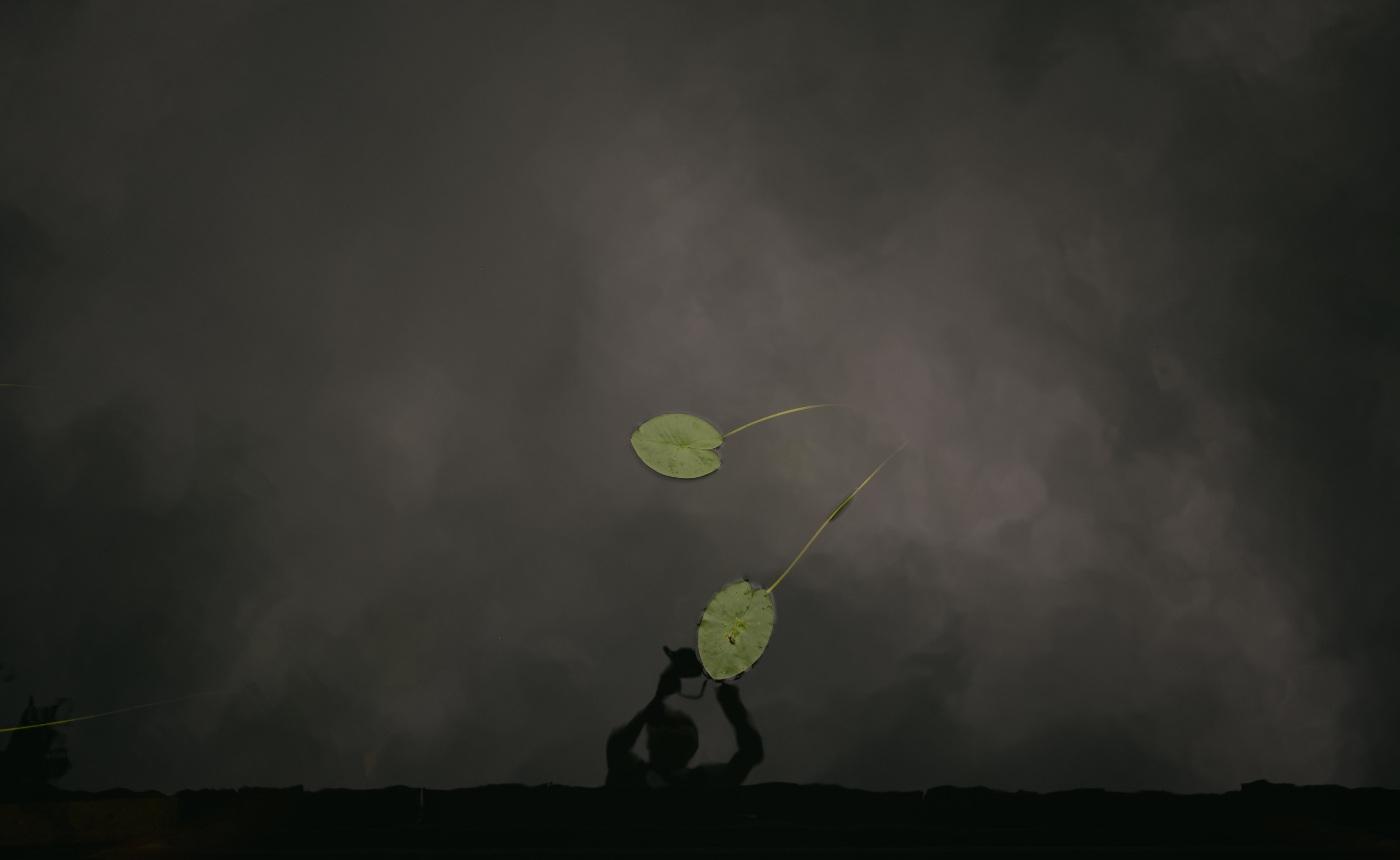 Игорь и Вероника. Свадебный фотограф Уфа Дарья Насырова