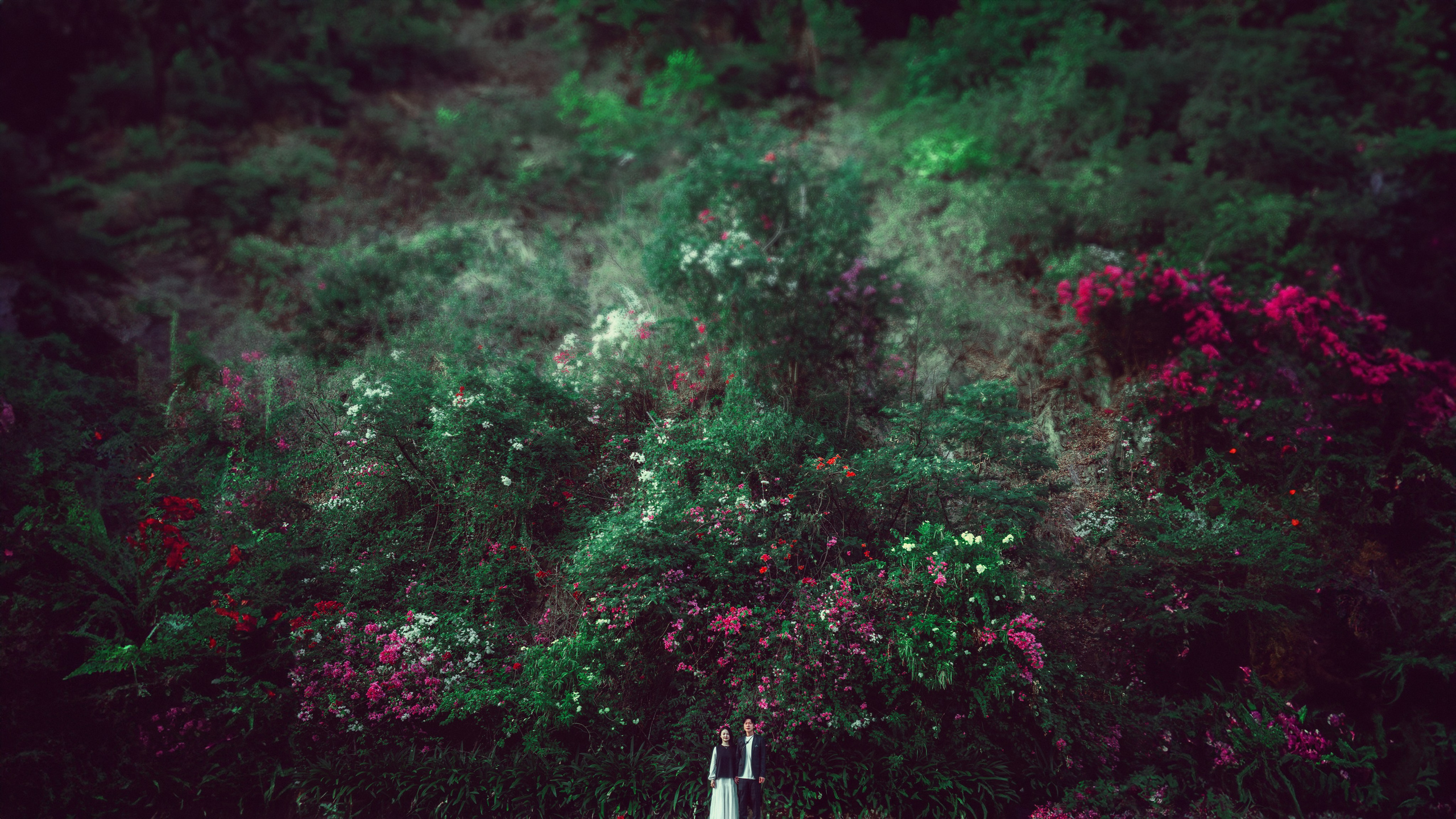 Свадьбы. Фотограф в Нячанге — Данил Прокопенко