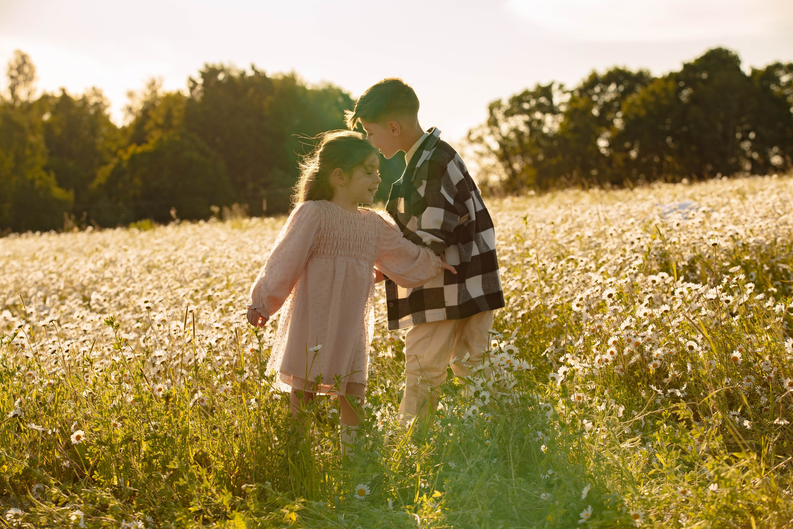 Ромашковое поле. Фотограф в Москве Яна Полосина