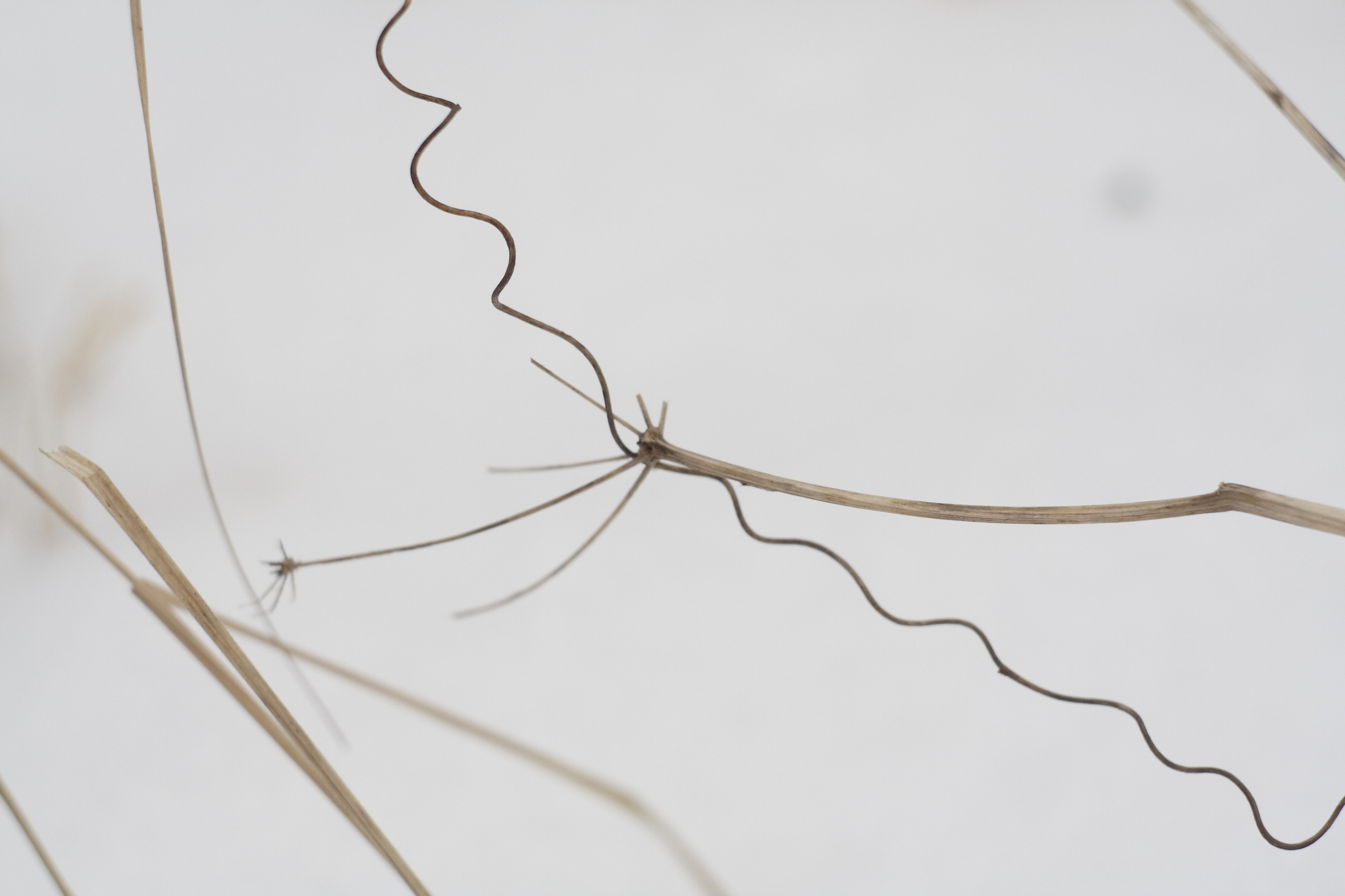 Старое природное, отбирала Katamount (Катерина Горохова). Главная