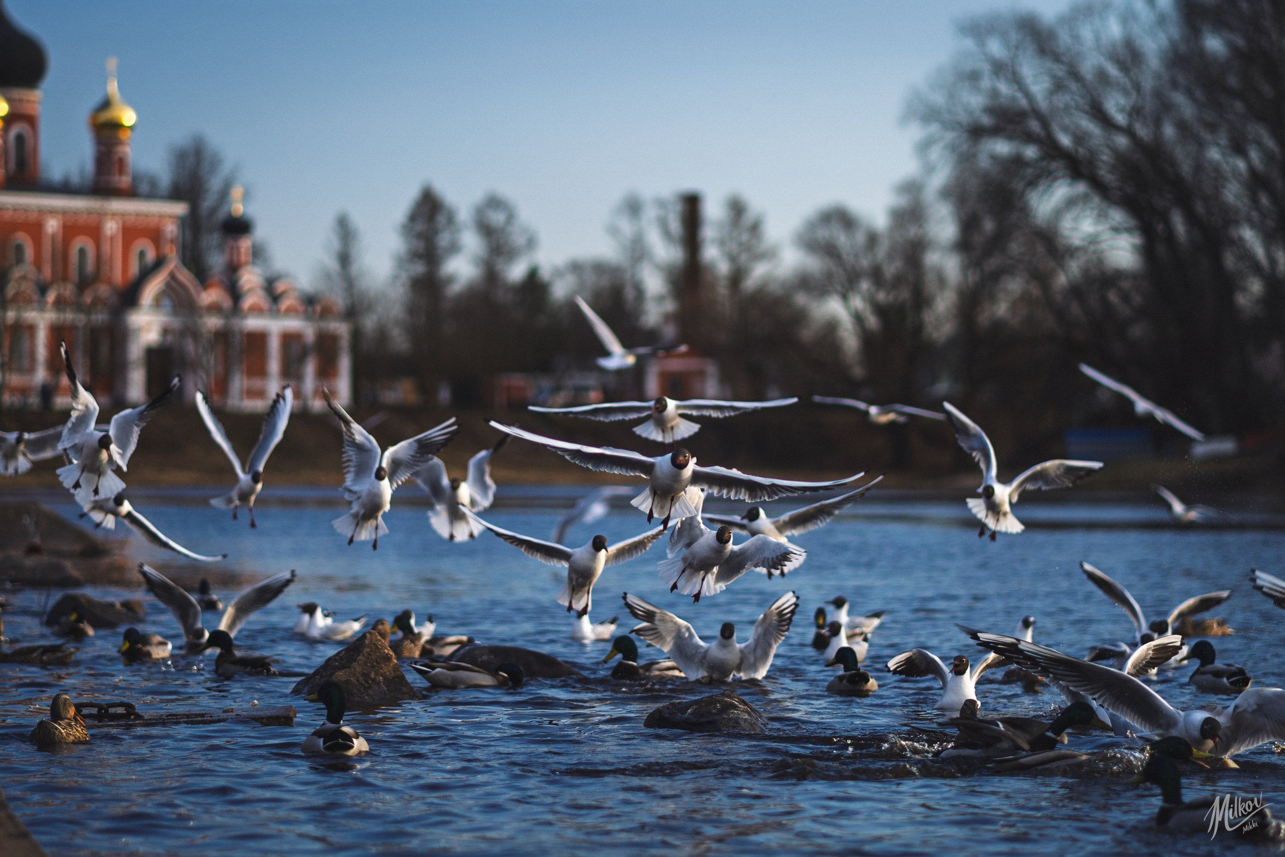 Стрит фото. Mikoff — Воспоминания и эмоции неподвластные времени