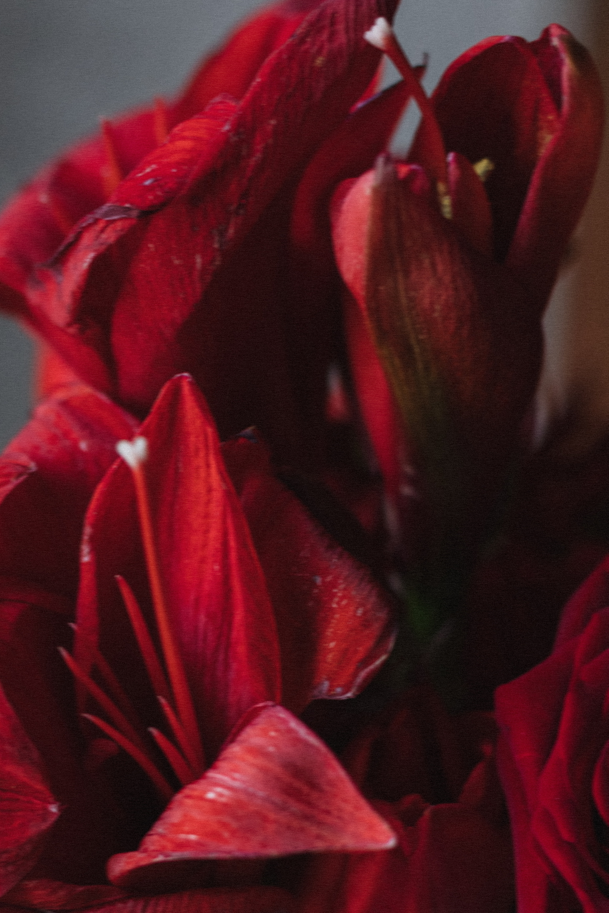 NEON WEDDING. Свадебный фотограф в Ижевске Диля Ахмадишина