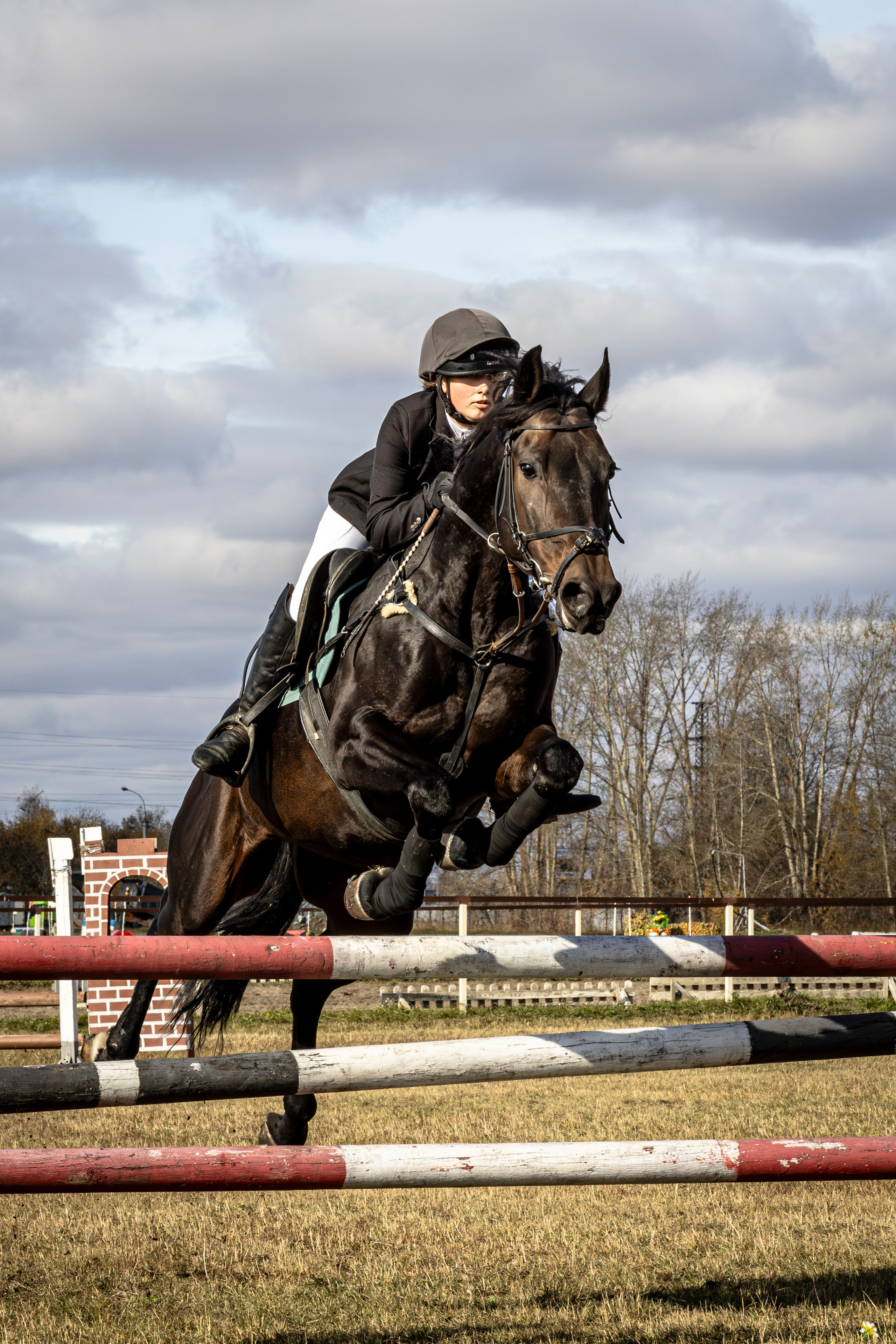 Конкур. Bertran Ordo