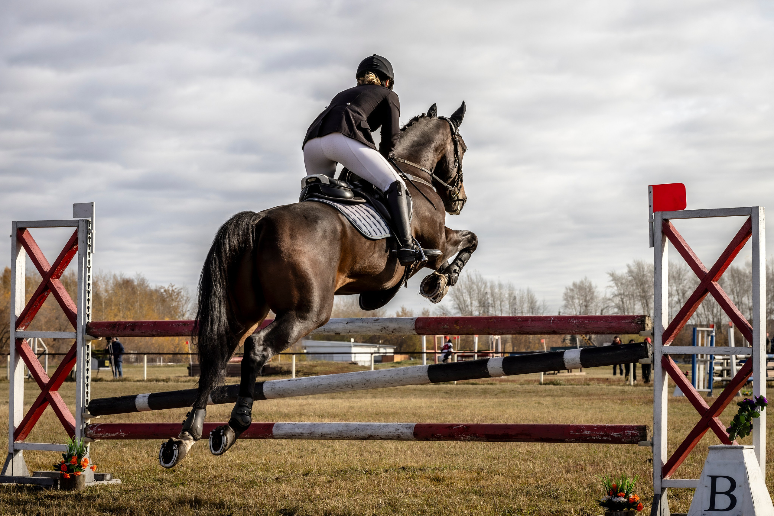 Конкур. Bertran Ordo