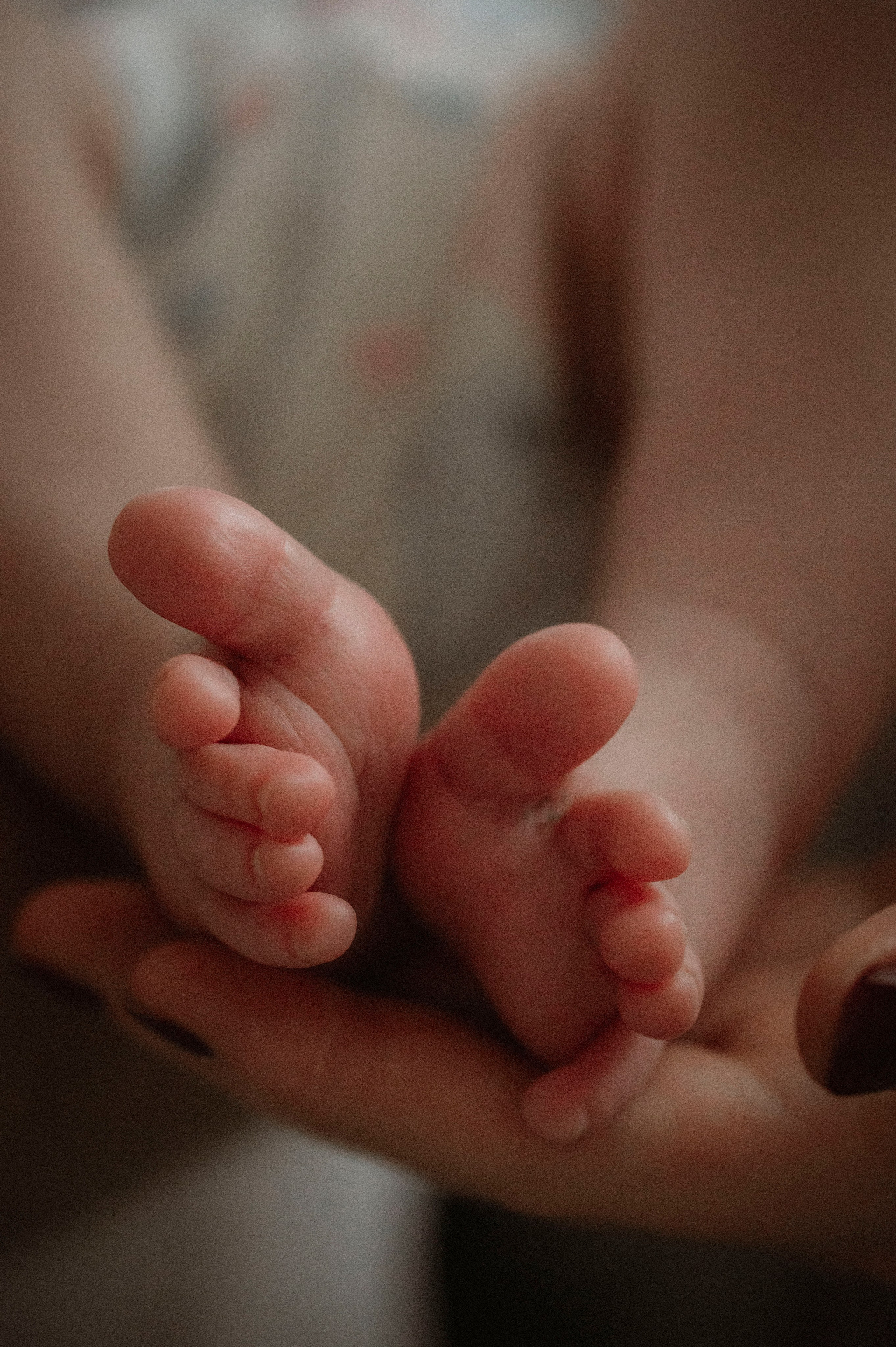 Семейная домашняя фотосессия. Профессиональный фотограф беременности в СПБ. Стильные фотосессии беременности в стиле минимализм и классическая фотография