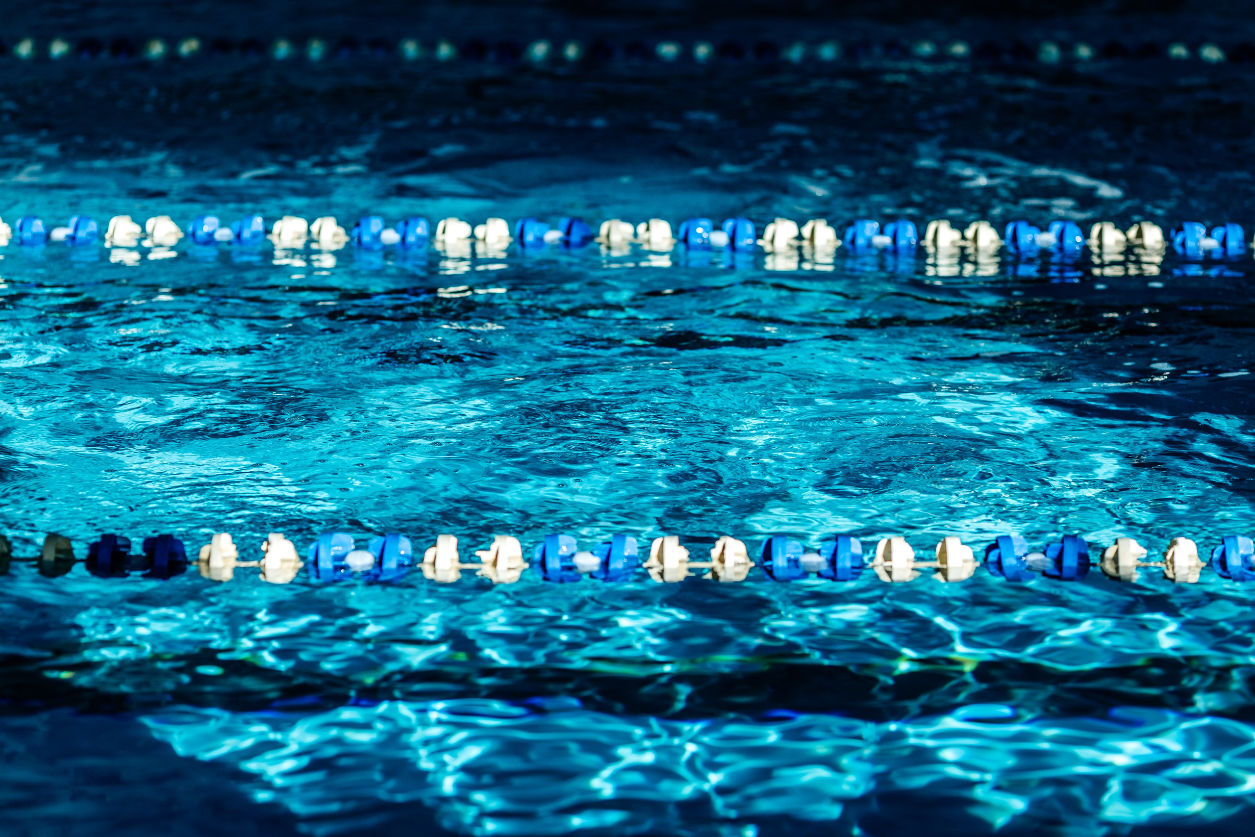 Школа плавания «Виктория». Свадебный фотограф в Краснодаре Николай Крауз