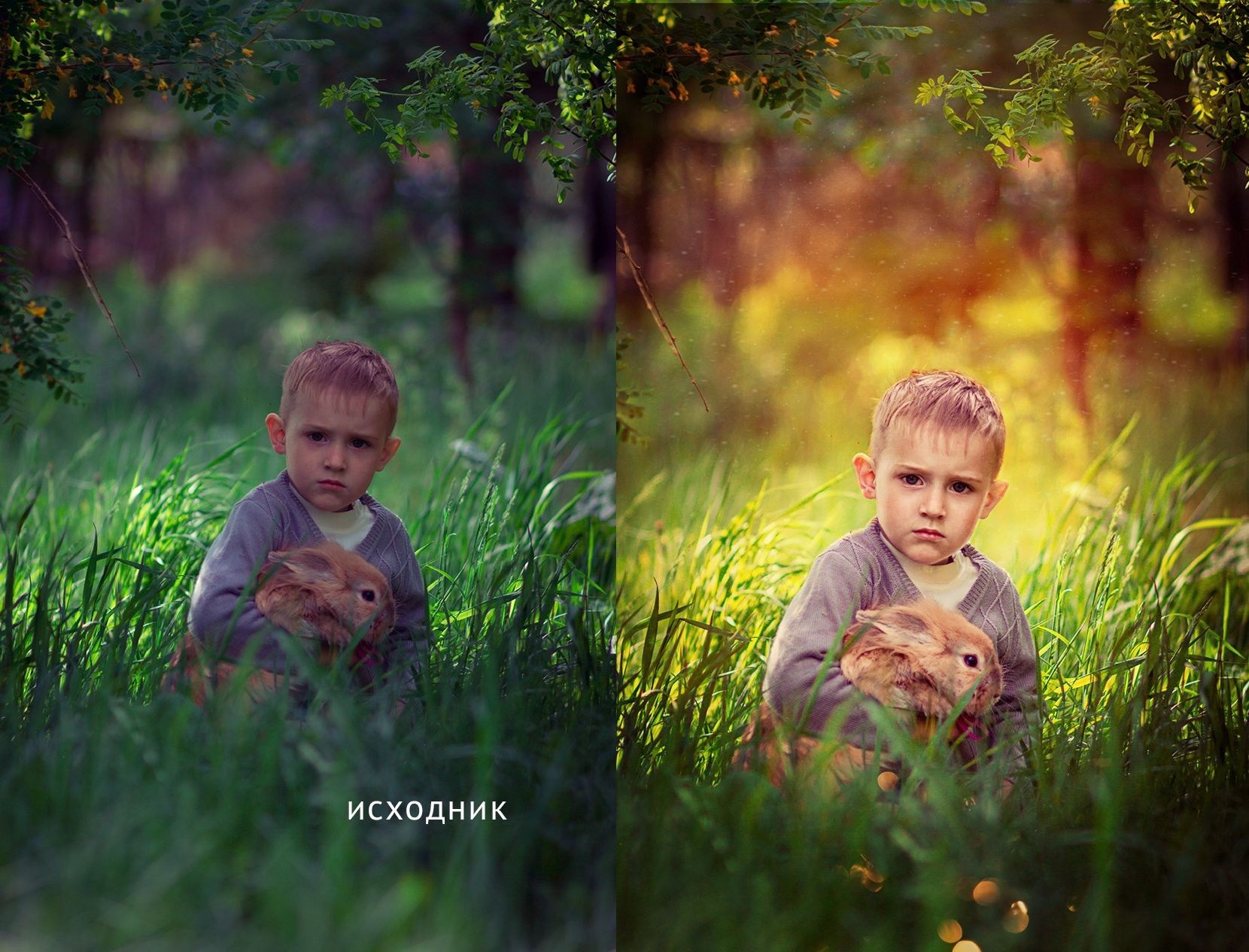 Свадебный и семейный фотограф Елена Метелкина г. Череповец