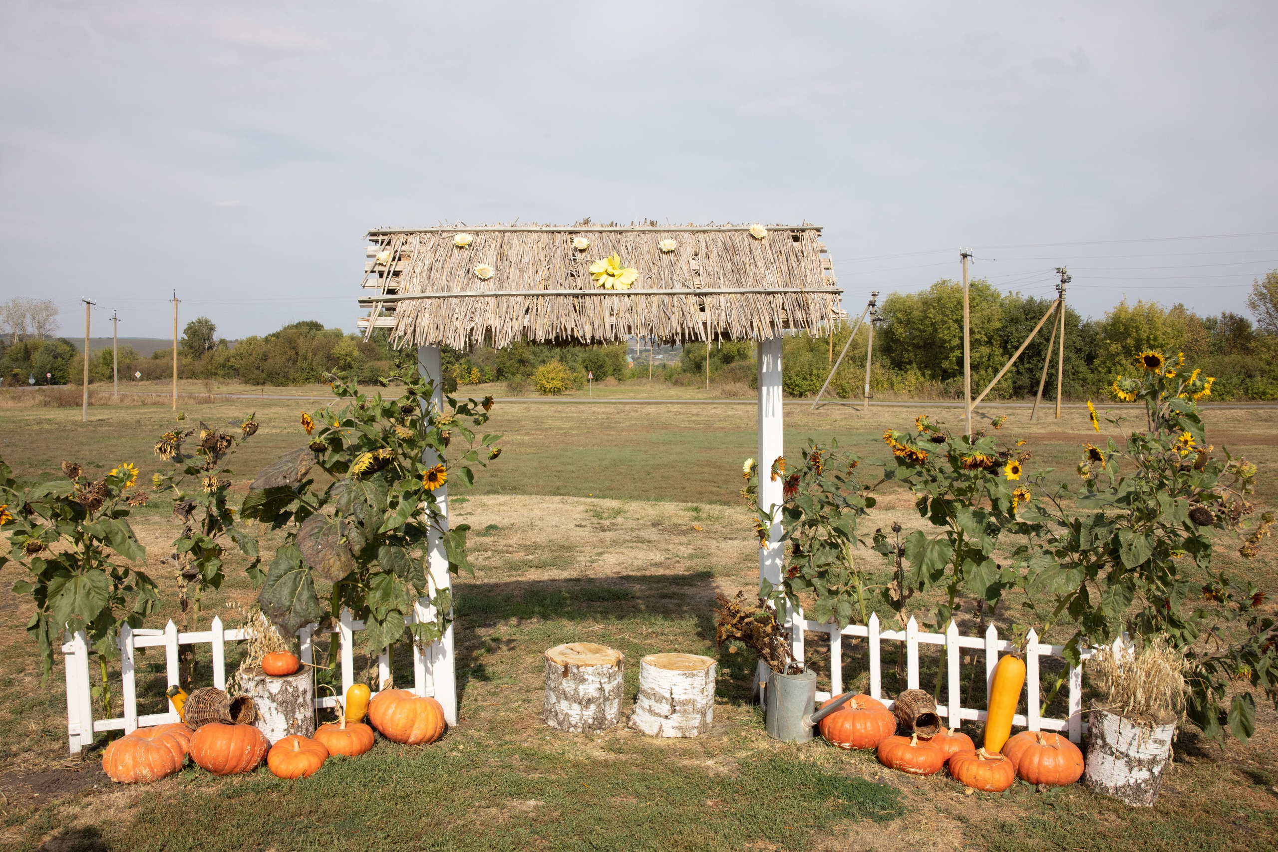 Поездка на поле Кулеково. Фотограф в Туле Крупский АнДРей. Фотостудия «КАДР71» в Туле