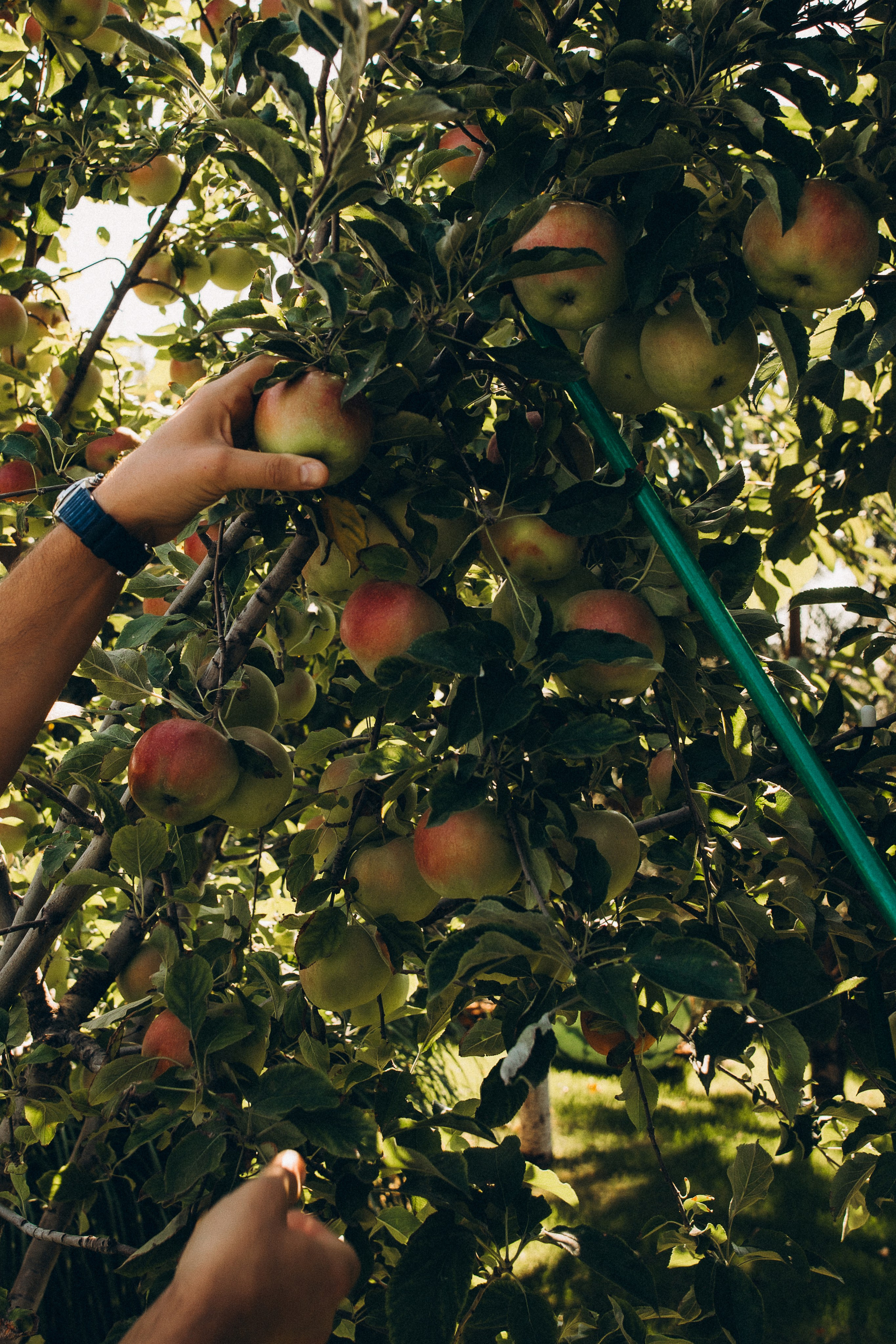 Наташа, Ренат, Лиля и Марат. Семейный фотограф и детский фотограф в Волгограде Алеся Бутакова — дет