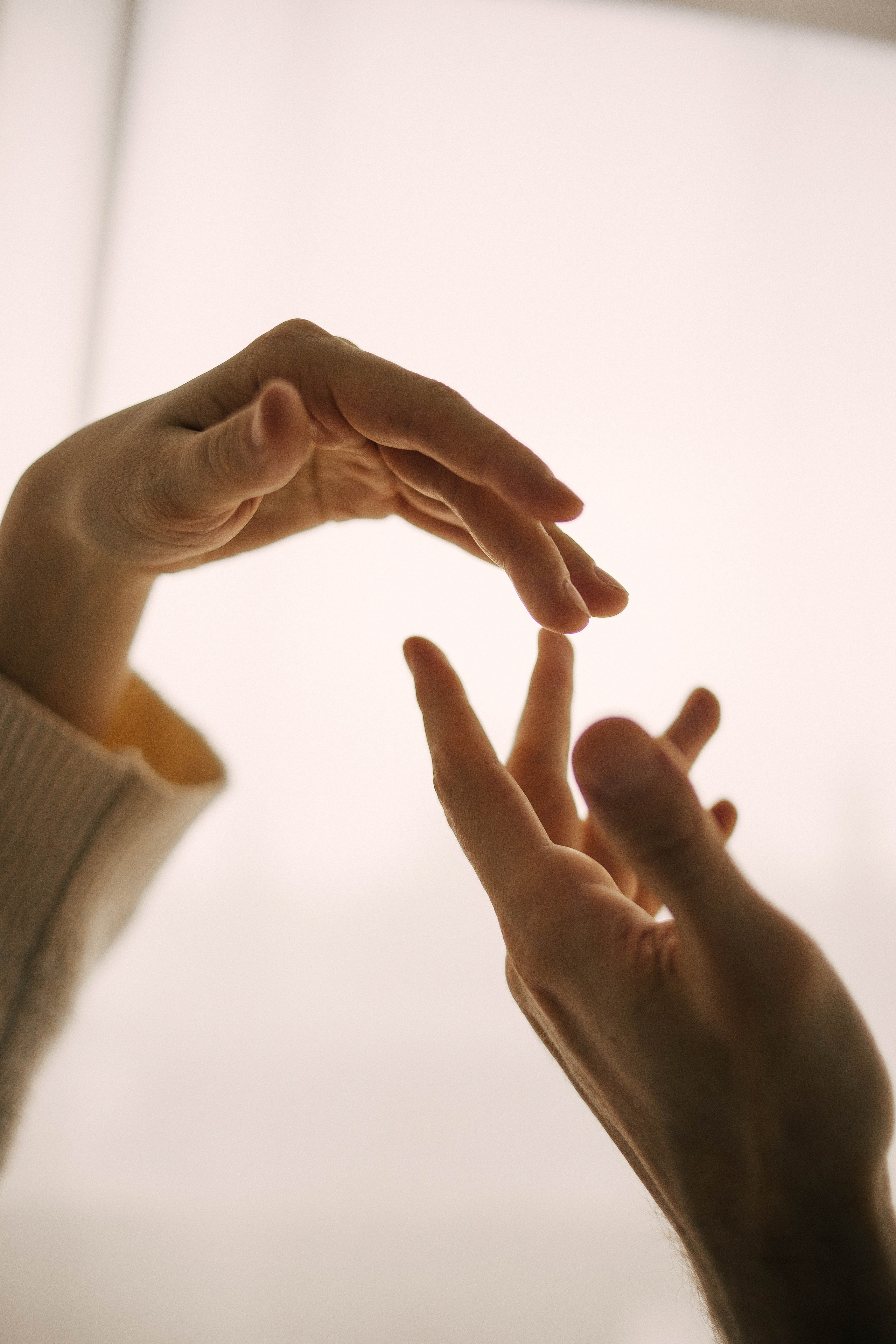 Аня, Сережа и Лешенька. Главная