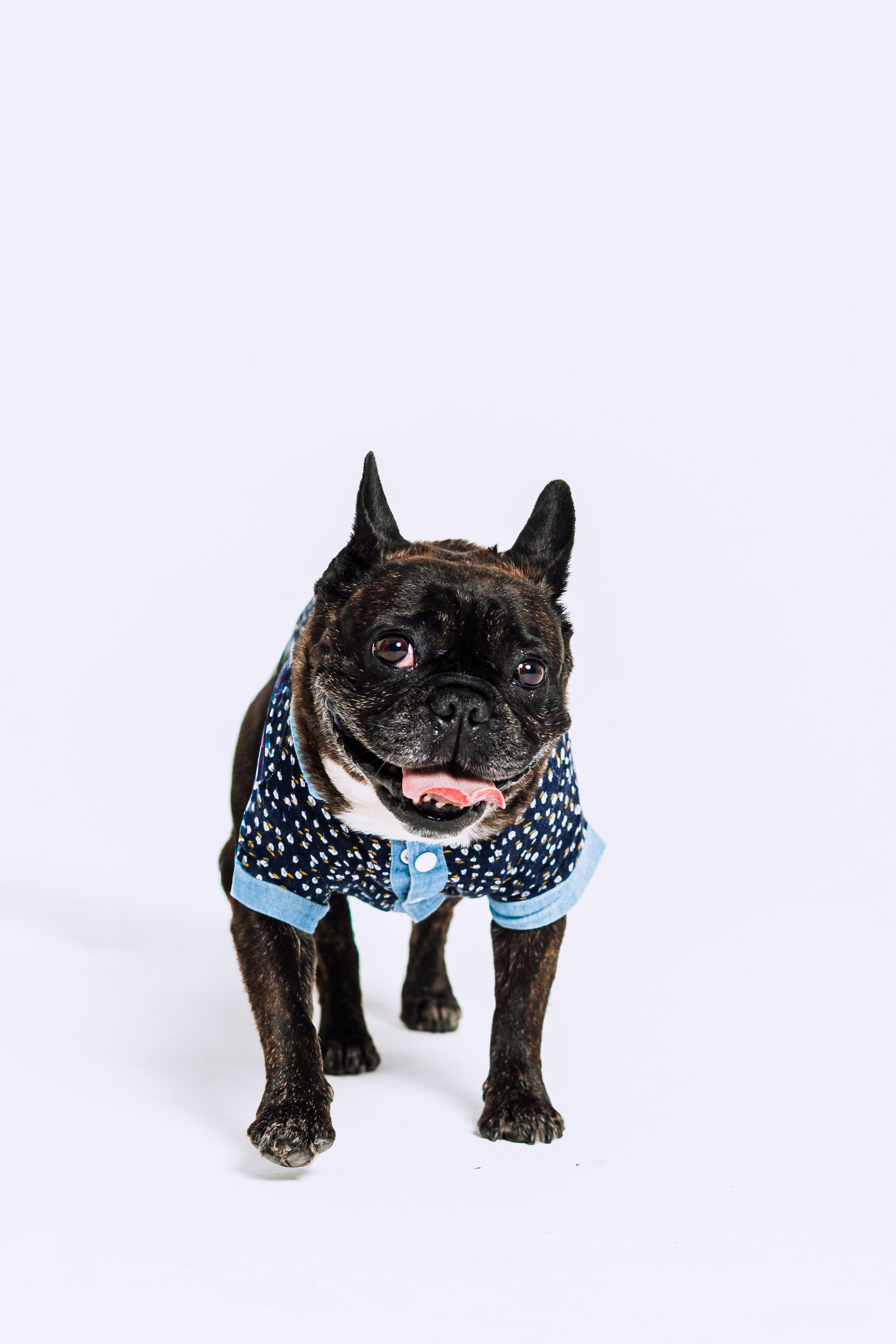 Бульвстреча 2025. Фотограф-анималист Татьяна Степанова