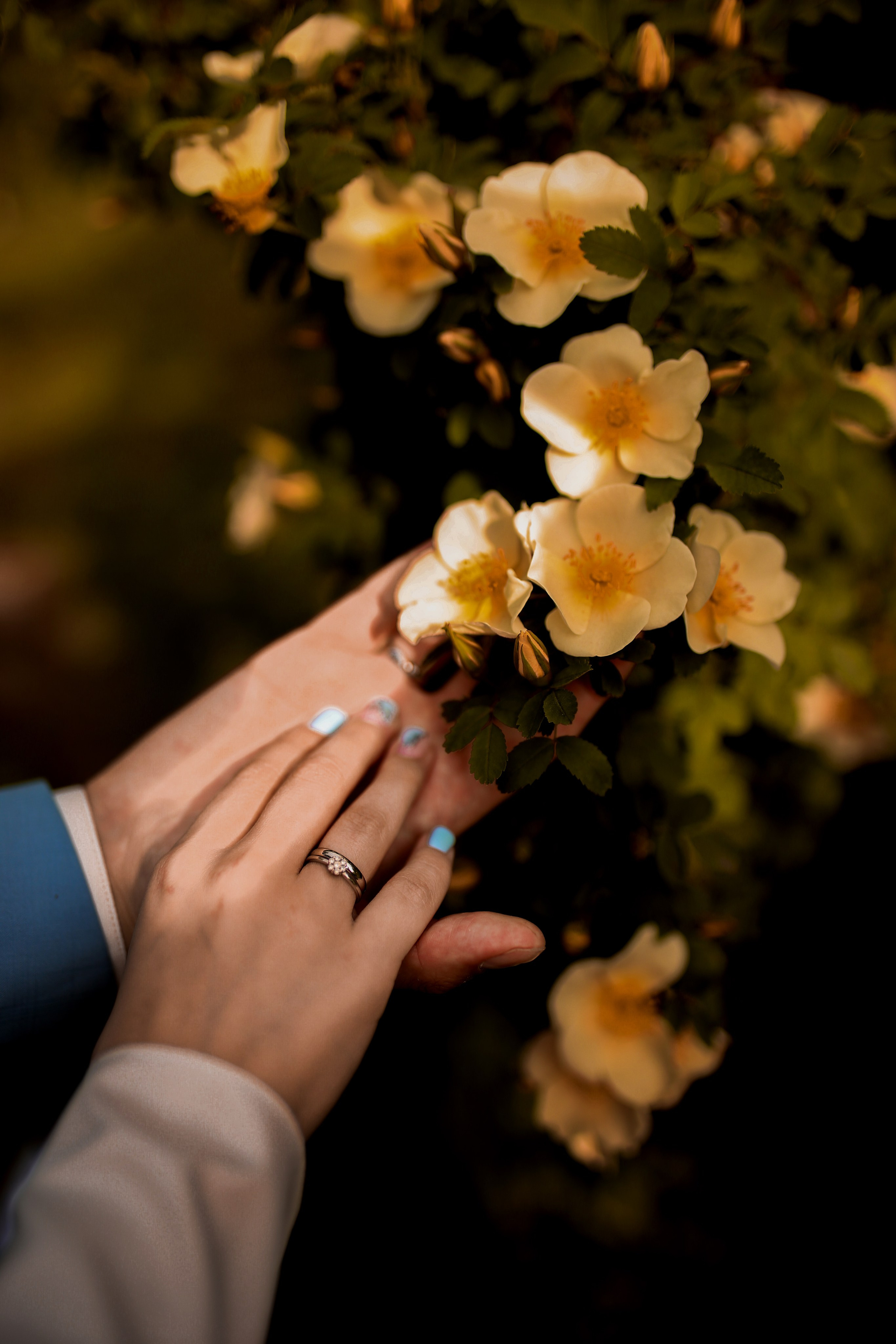 Свадебные съемки. Фотосессия в Санкт-Петербурге — фотограф Алина Городниченко