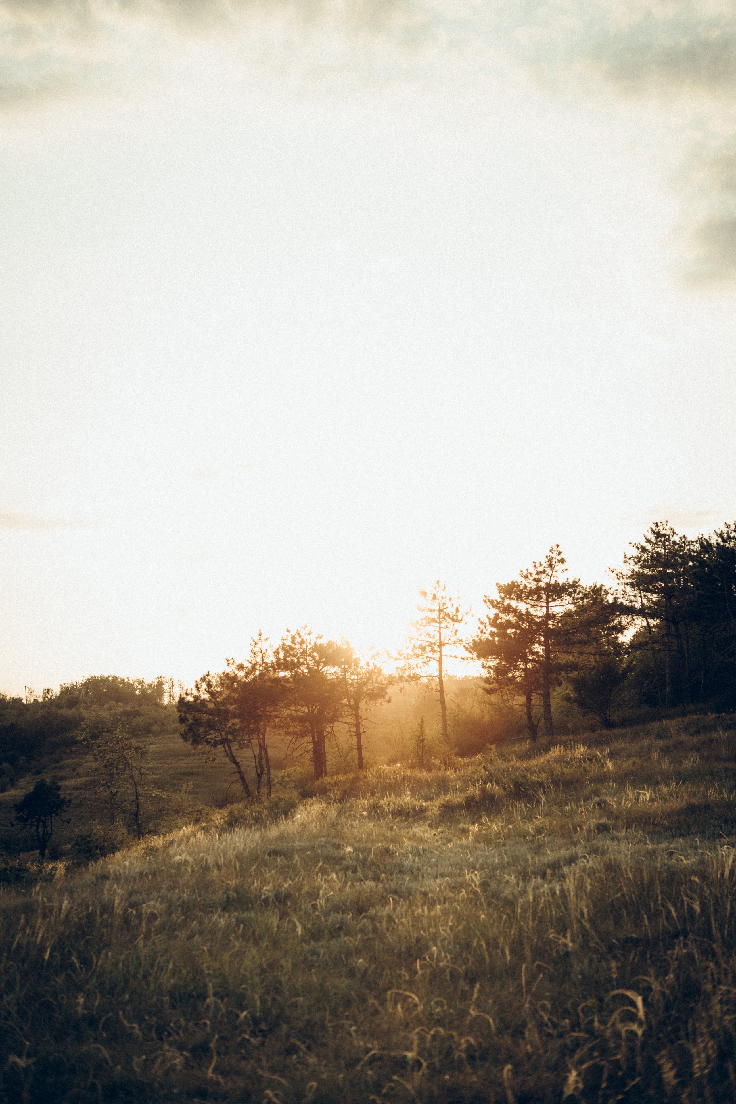 Оксана, Артем и Тимур. Семейный фотограф и фотограф на роды в Ростове-на-Дону Мухина Виктория