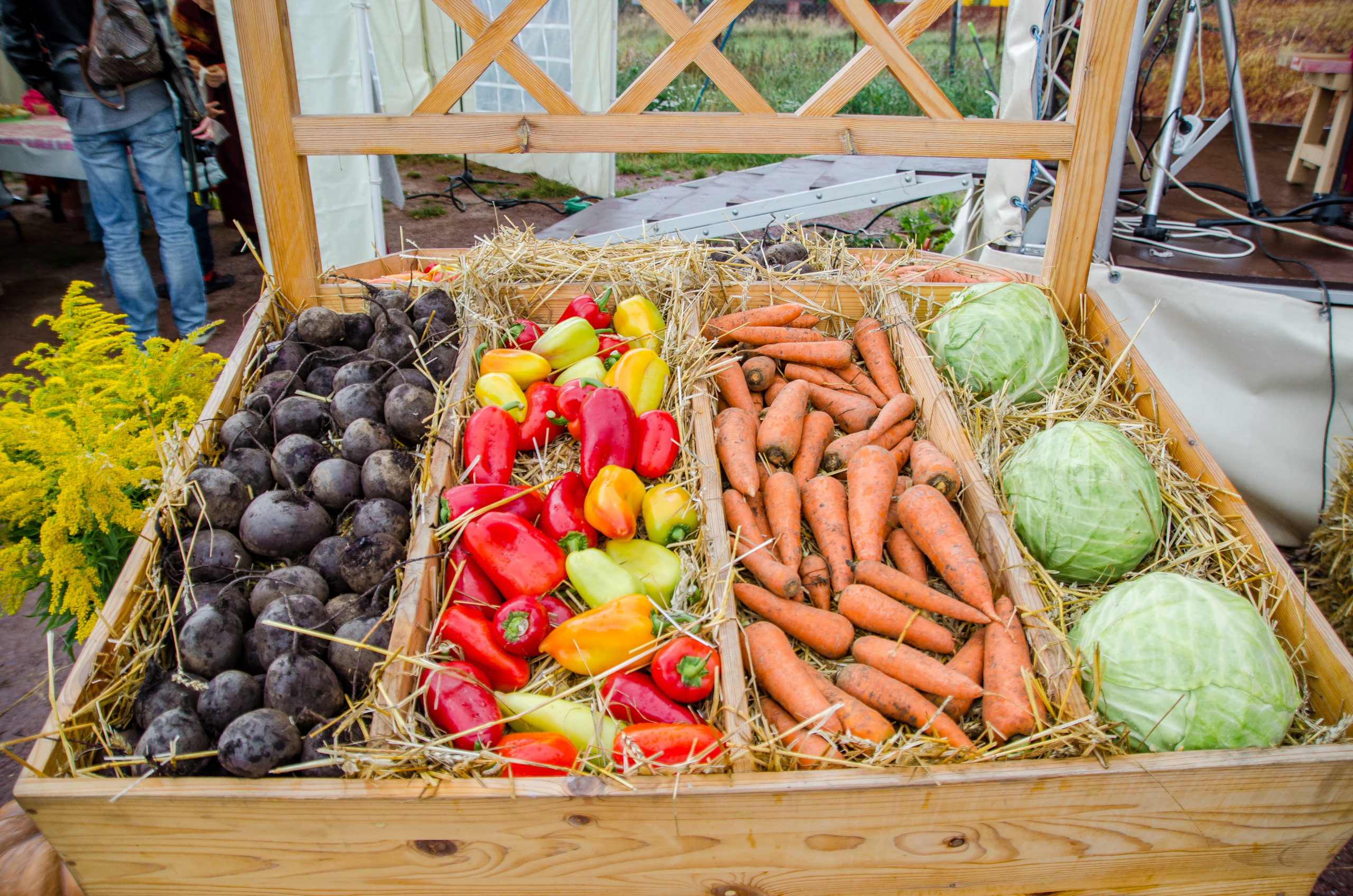 Осенний фестиваль в Аляухово. Фотограф в Москве Елена Брюханова