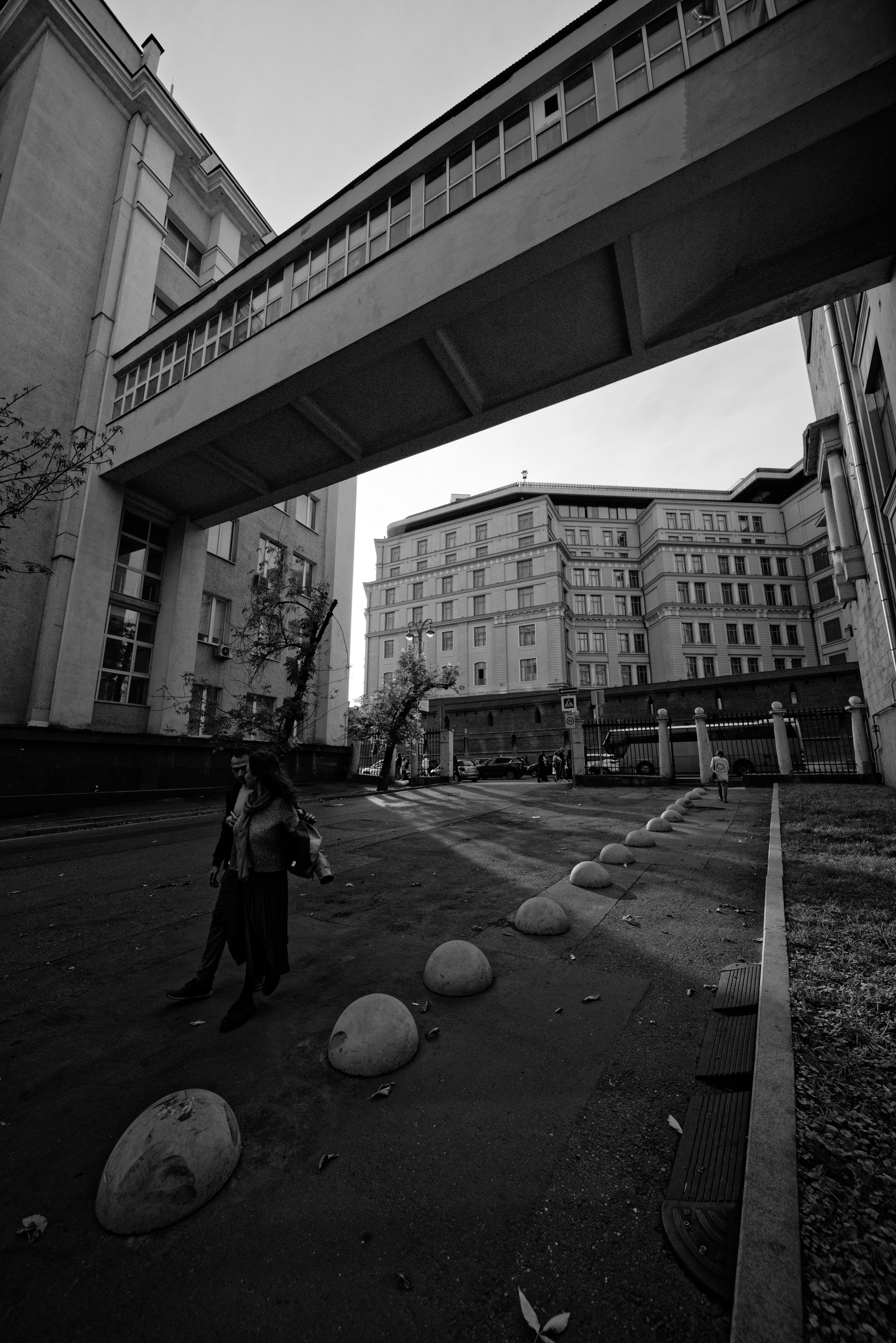 Pentax K-1 II + Laowa 12/2.8