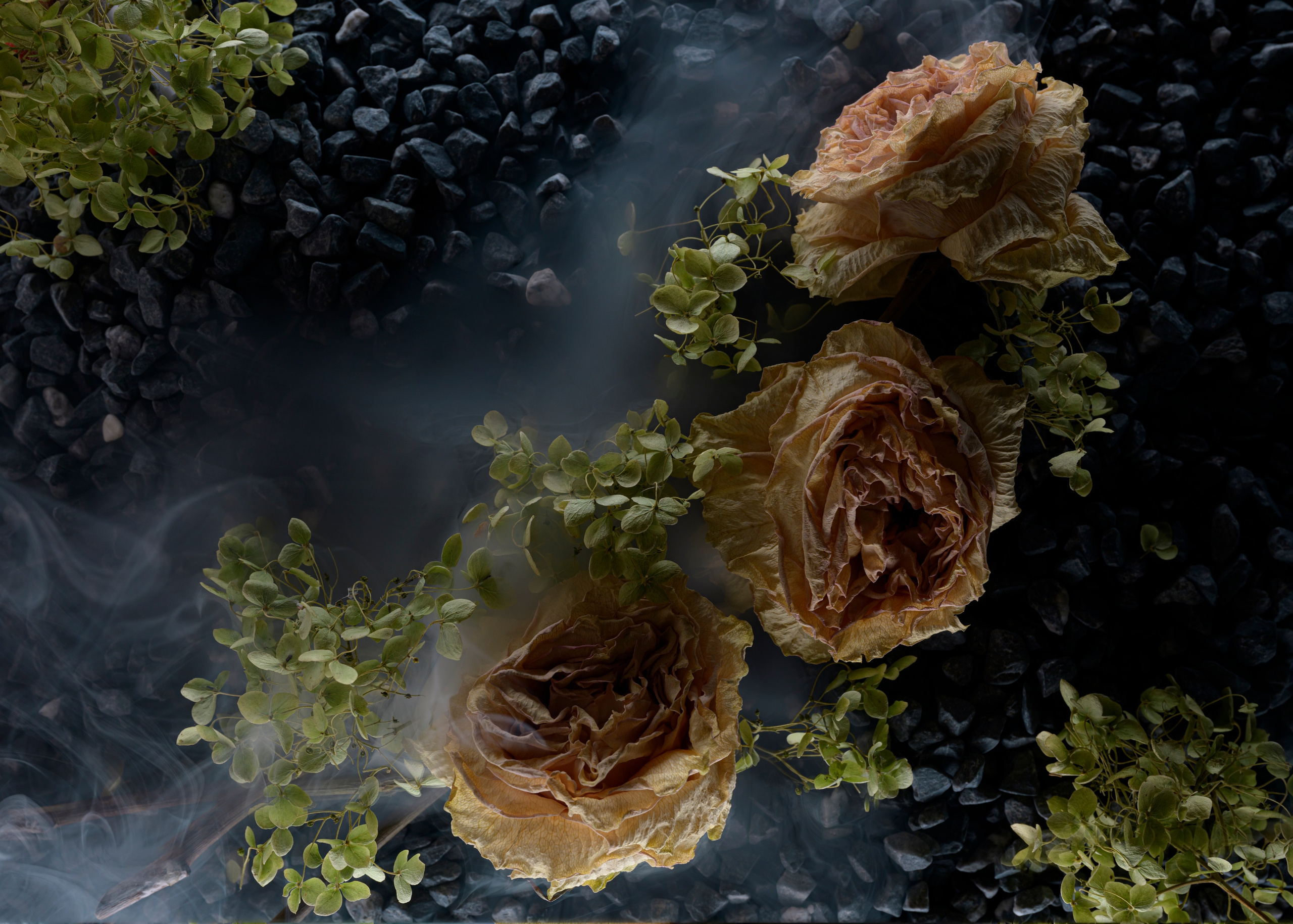 Поэзия цветов. Портретный фотограф в Челябинске Катерина Руди