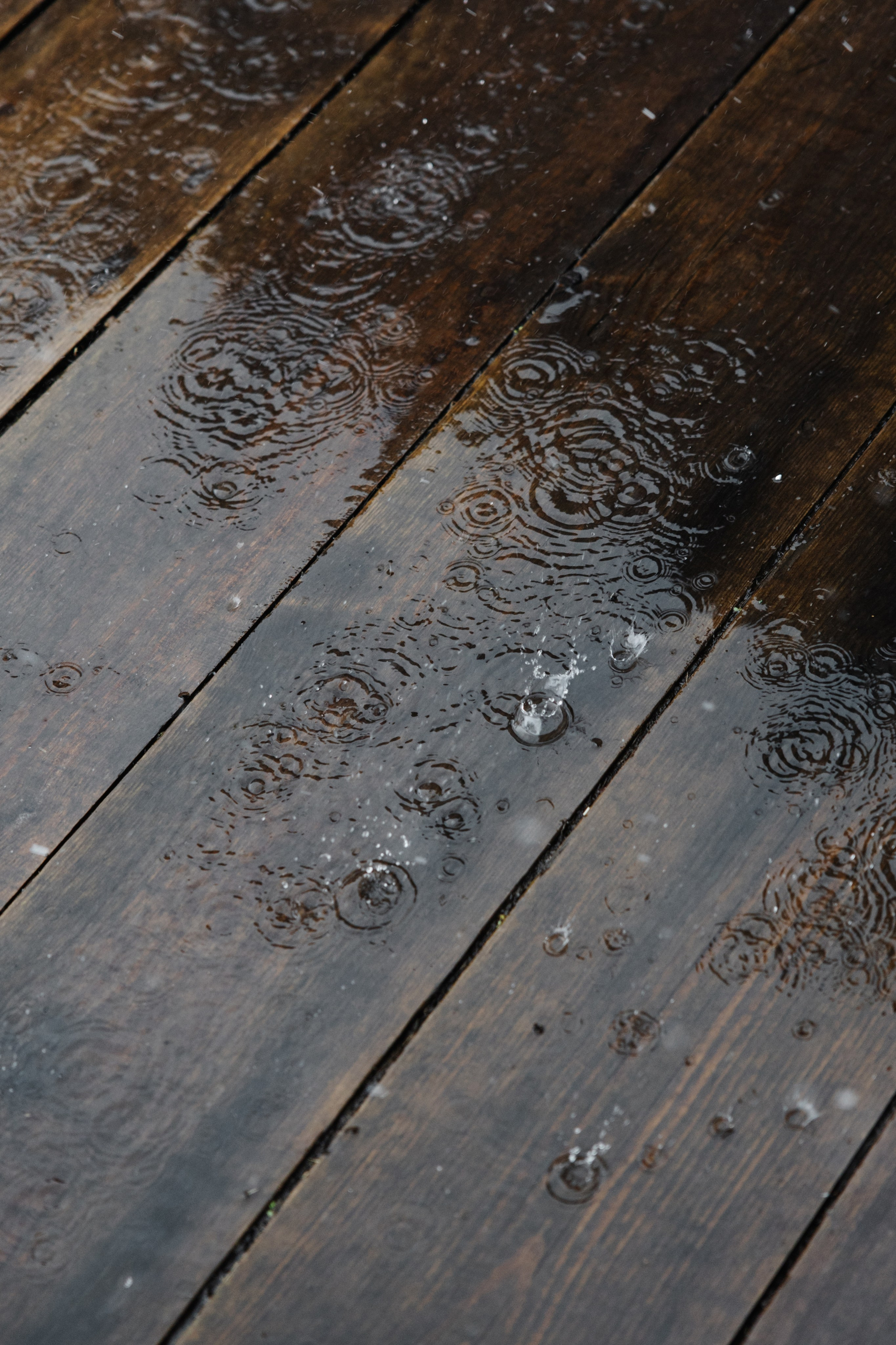 ГЕНДЕР ПАТИ. Фотограф в Красноярске