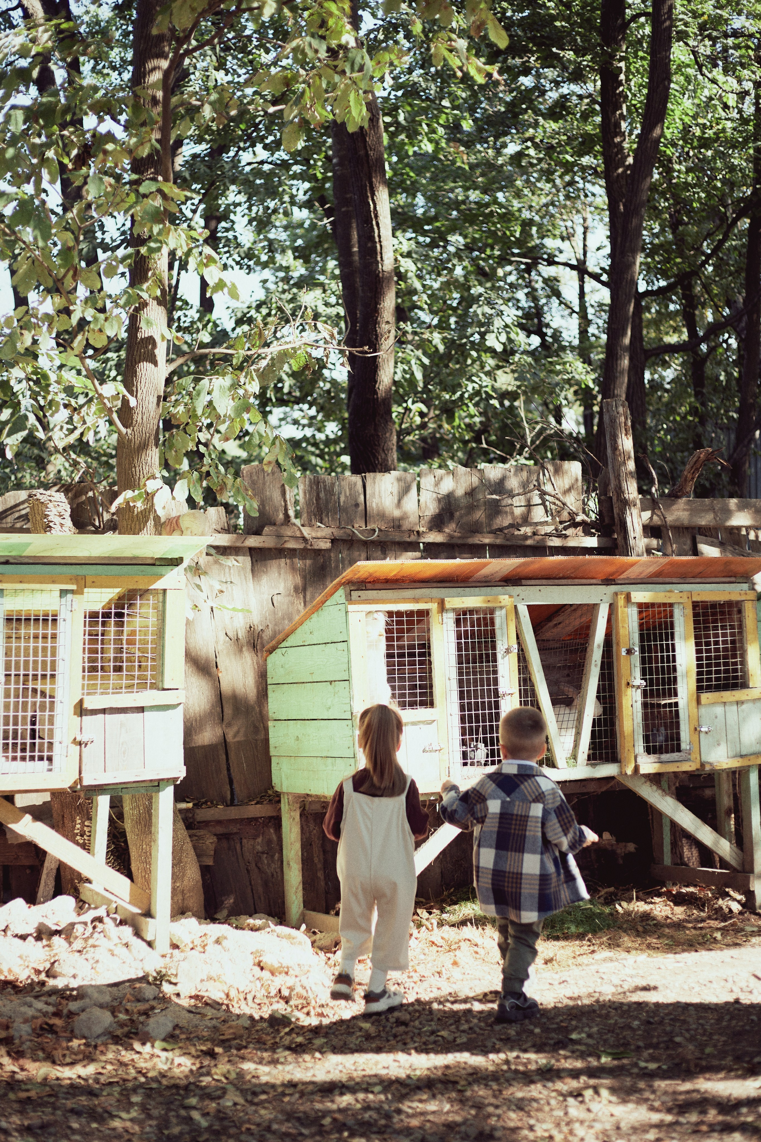 Зоопарк. Фотограф Ионова Анастасия, г Владивосток