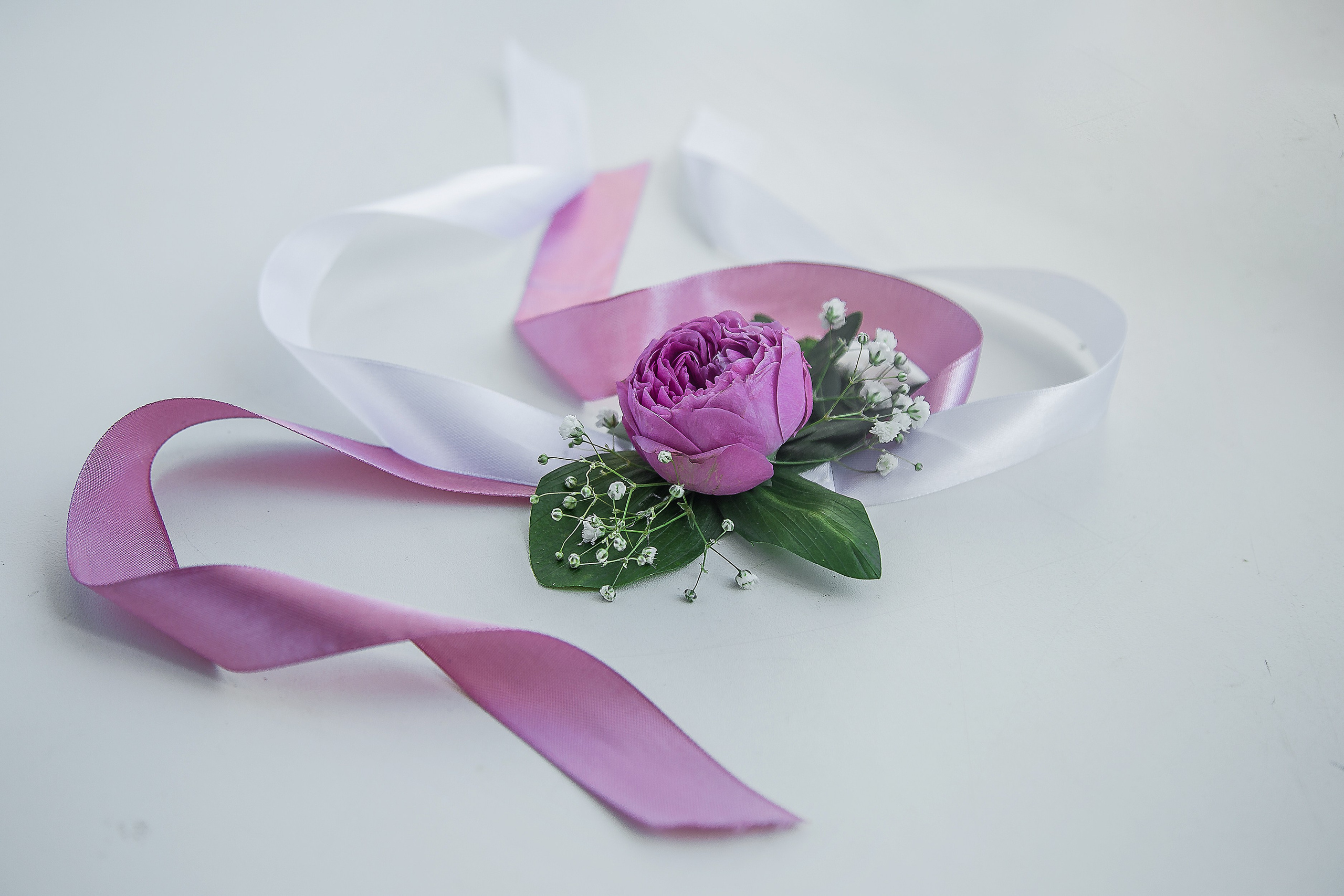 Предметная съёмка. Фотограф в Самаре Вера Тренина