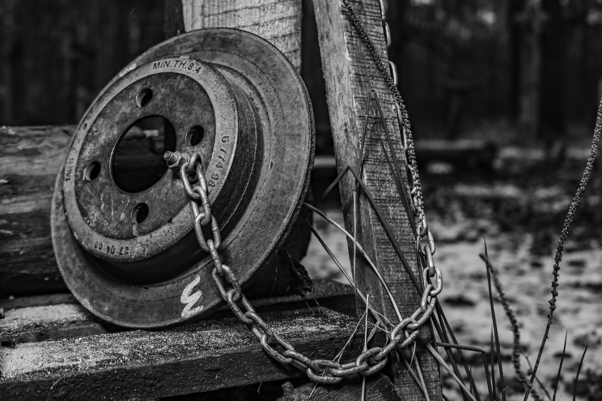 Качалка в лесу — 2022. Стас Привалов