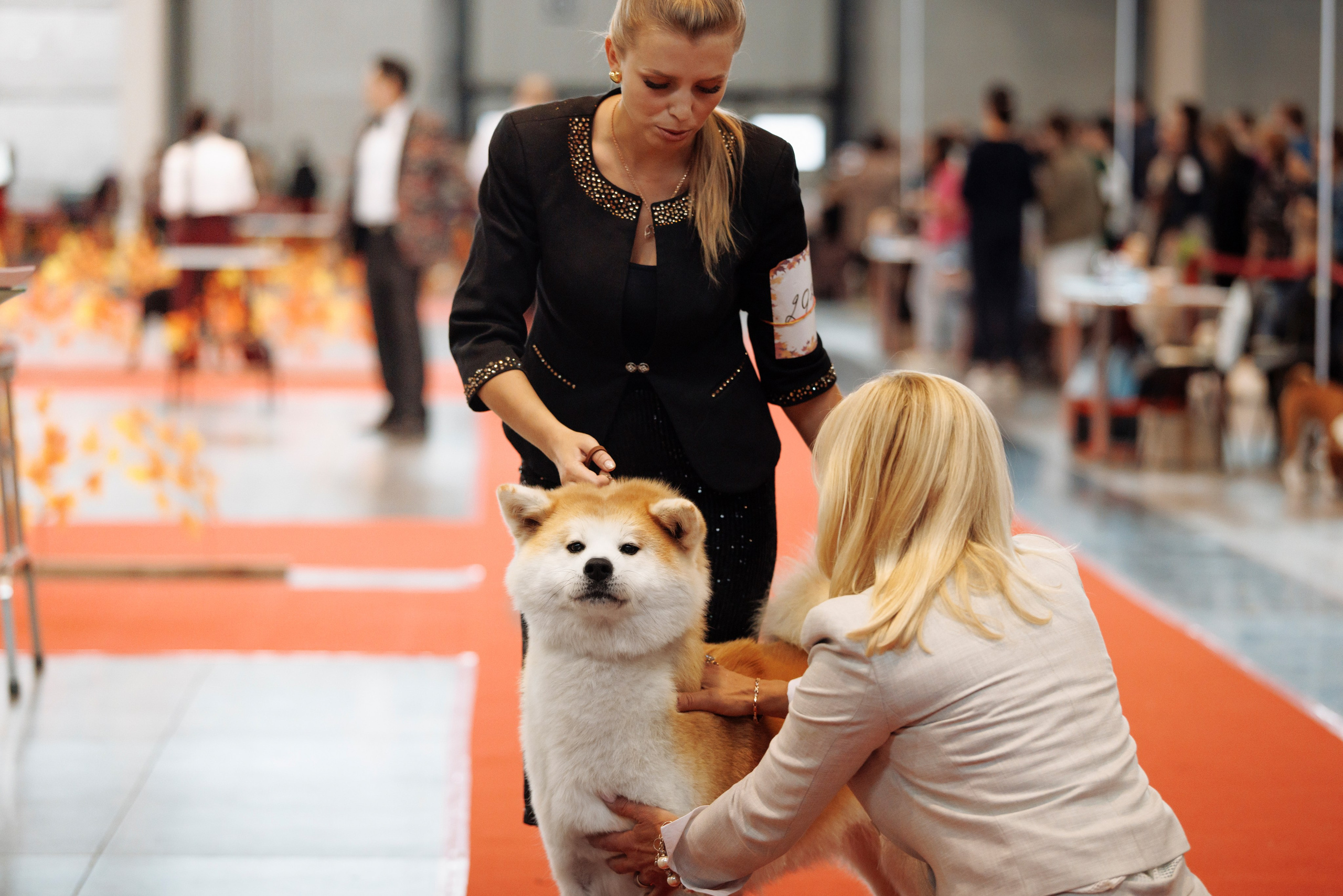 18/19.10.2025 — Екатеринбург. Фотограф-анималист Саша Вязьмина