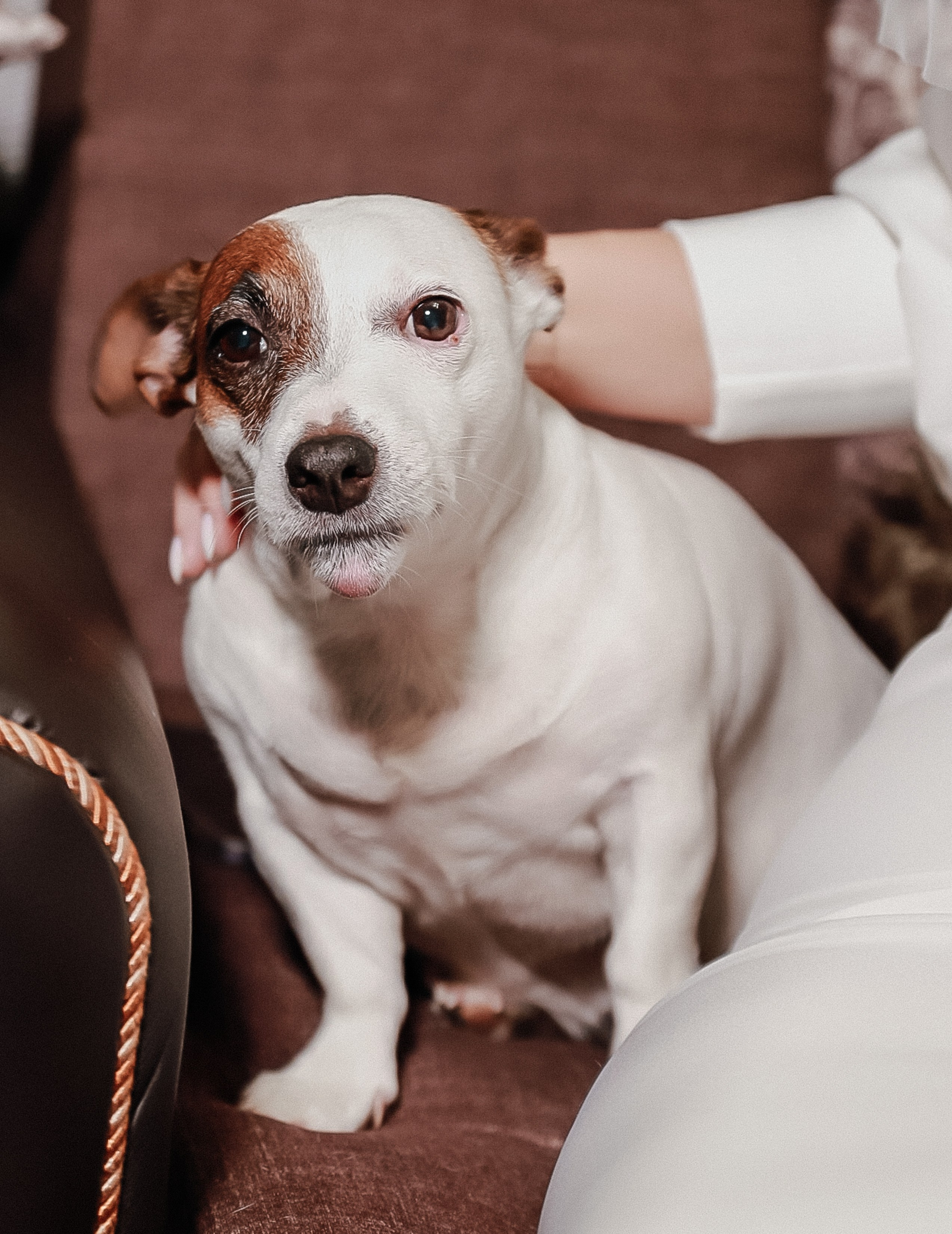 Наталья & Кирилл. Фотограф Юлия Мальцева