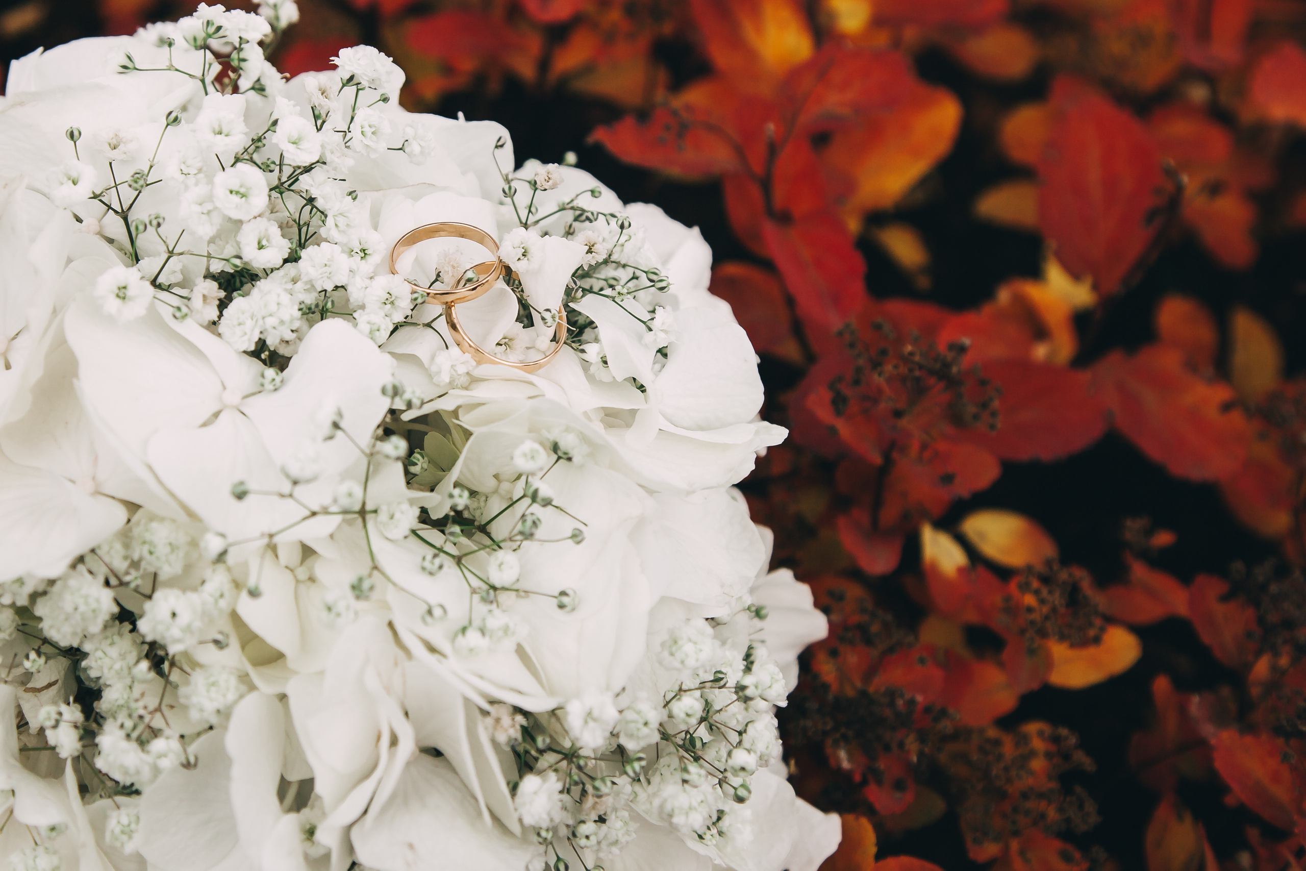 Диана и Сергей. Свадебный и семейный фотограф в Минске Духович Татьяна