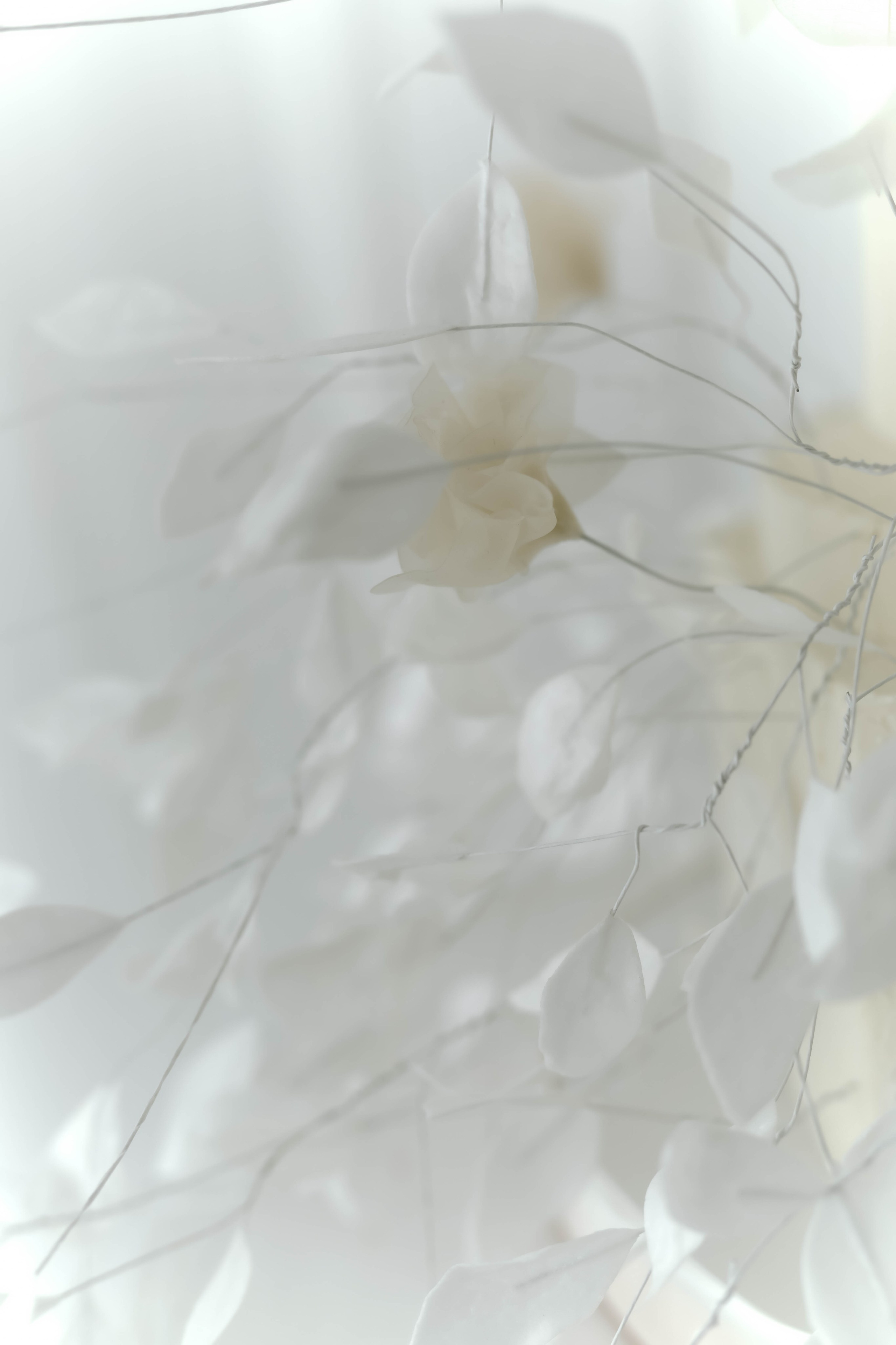 Виктория и Максим.Краснодар. Фотограф Славянск на кубани Краснодар