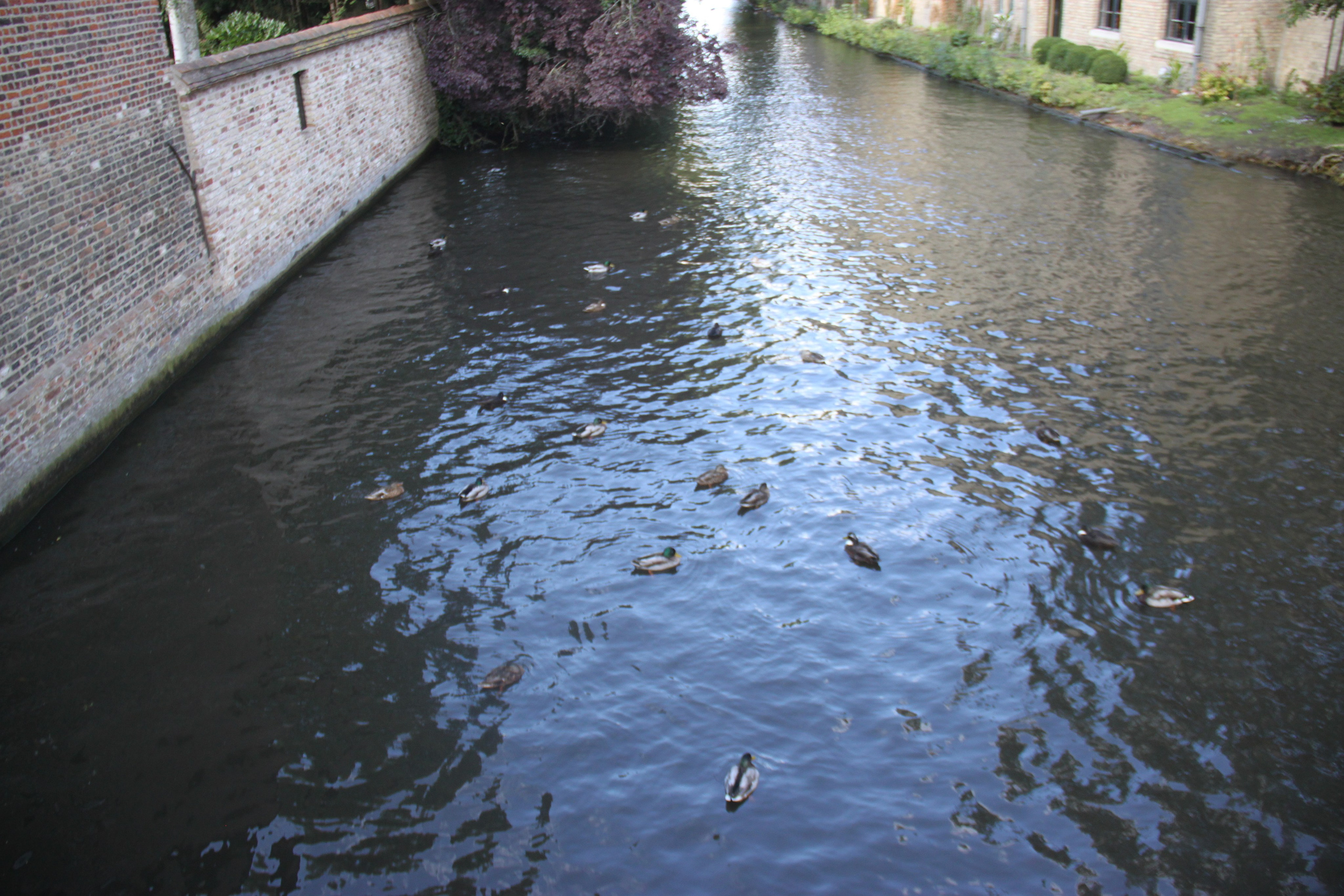 Bruges, Belgium. Andrey Filippov Photographer