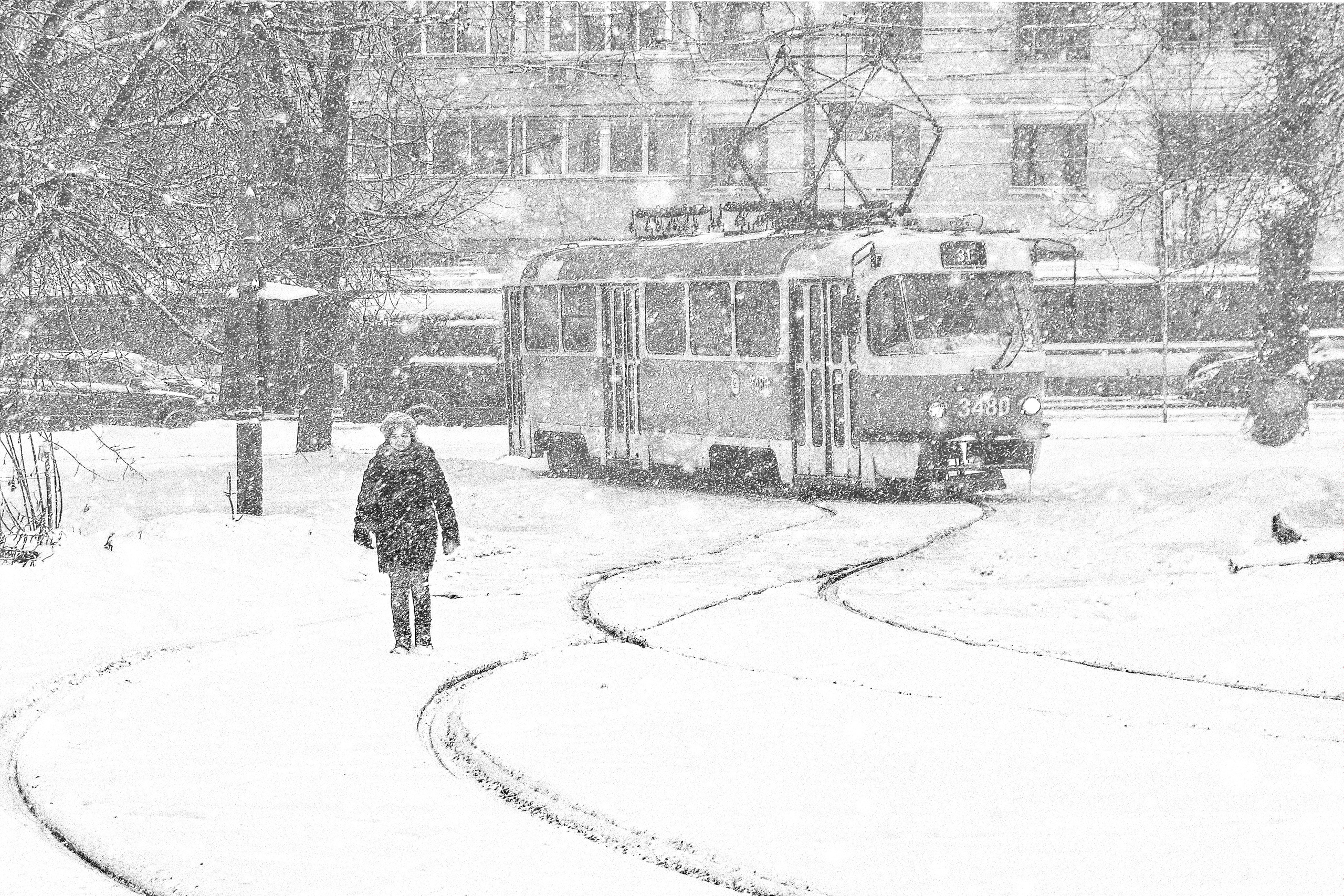Жанр. Фотограф Лагутин Анатолий