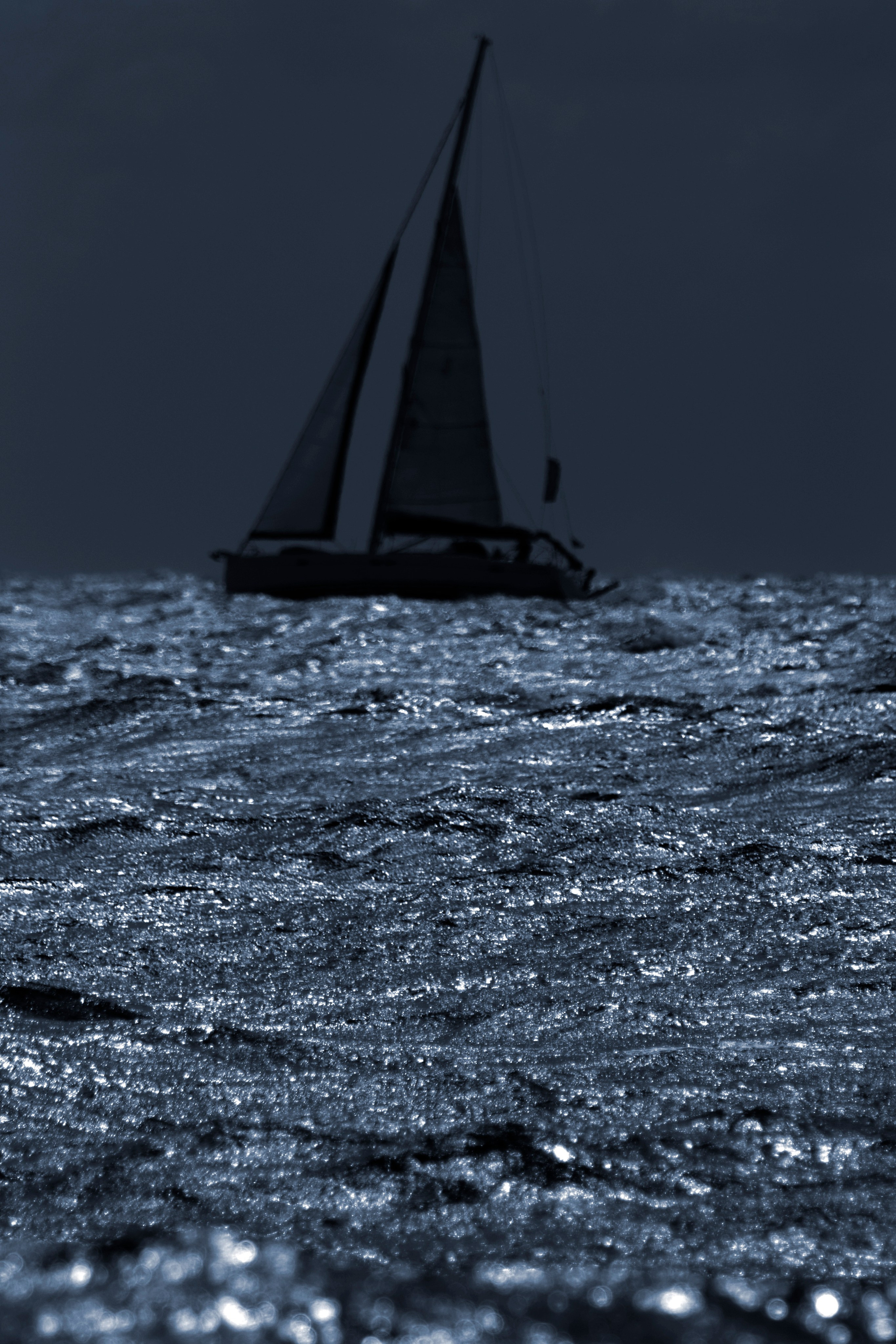 Фото. Фотограф Лагутин Анатолий