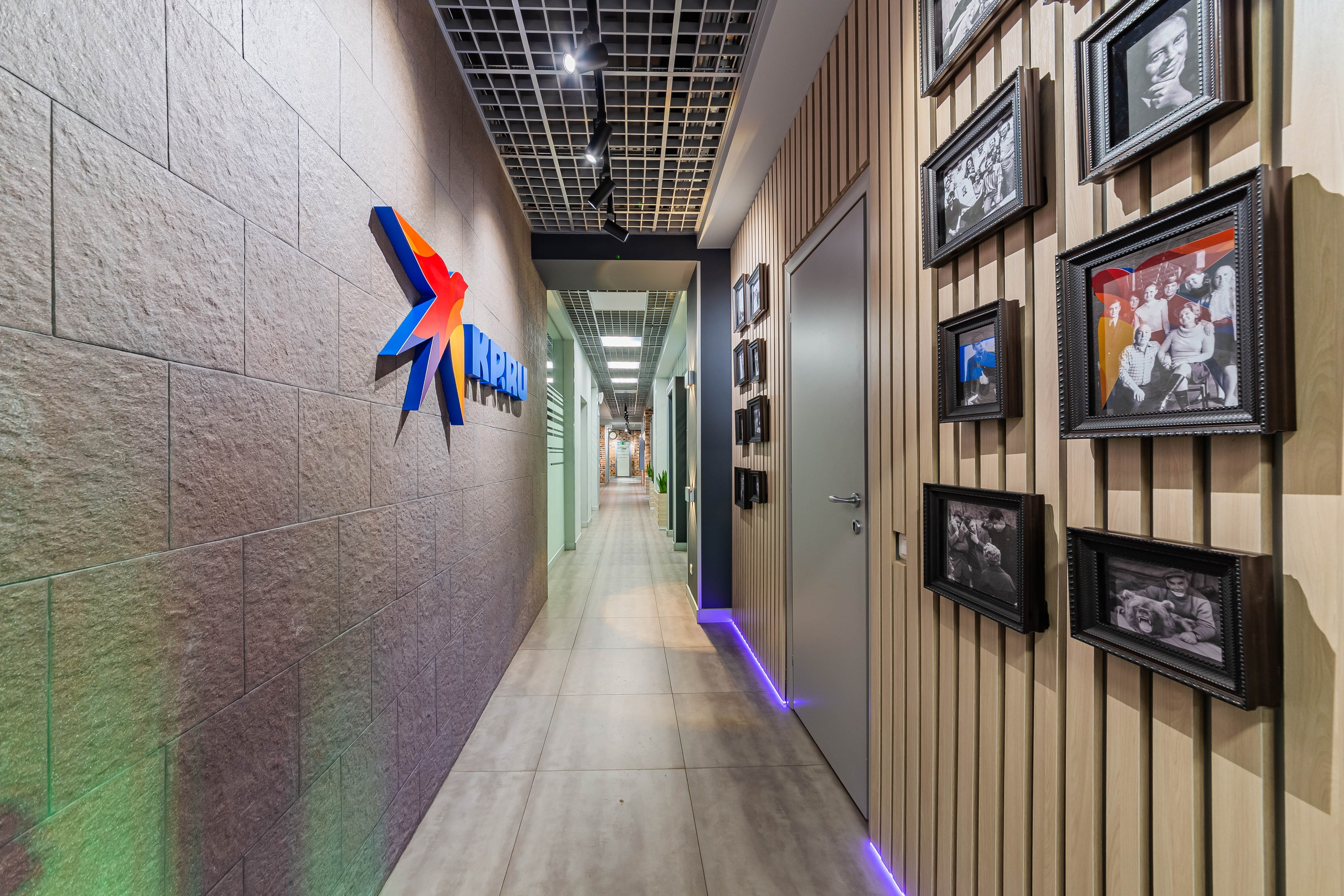 Сокол. Фотограф Лагутин Анатолий