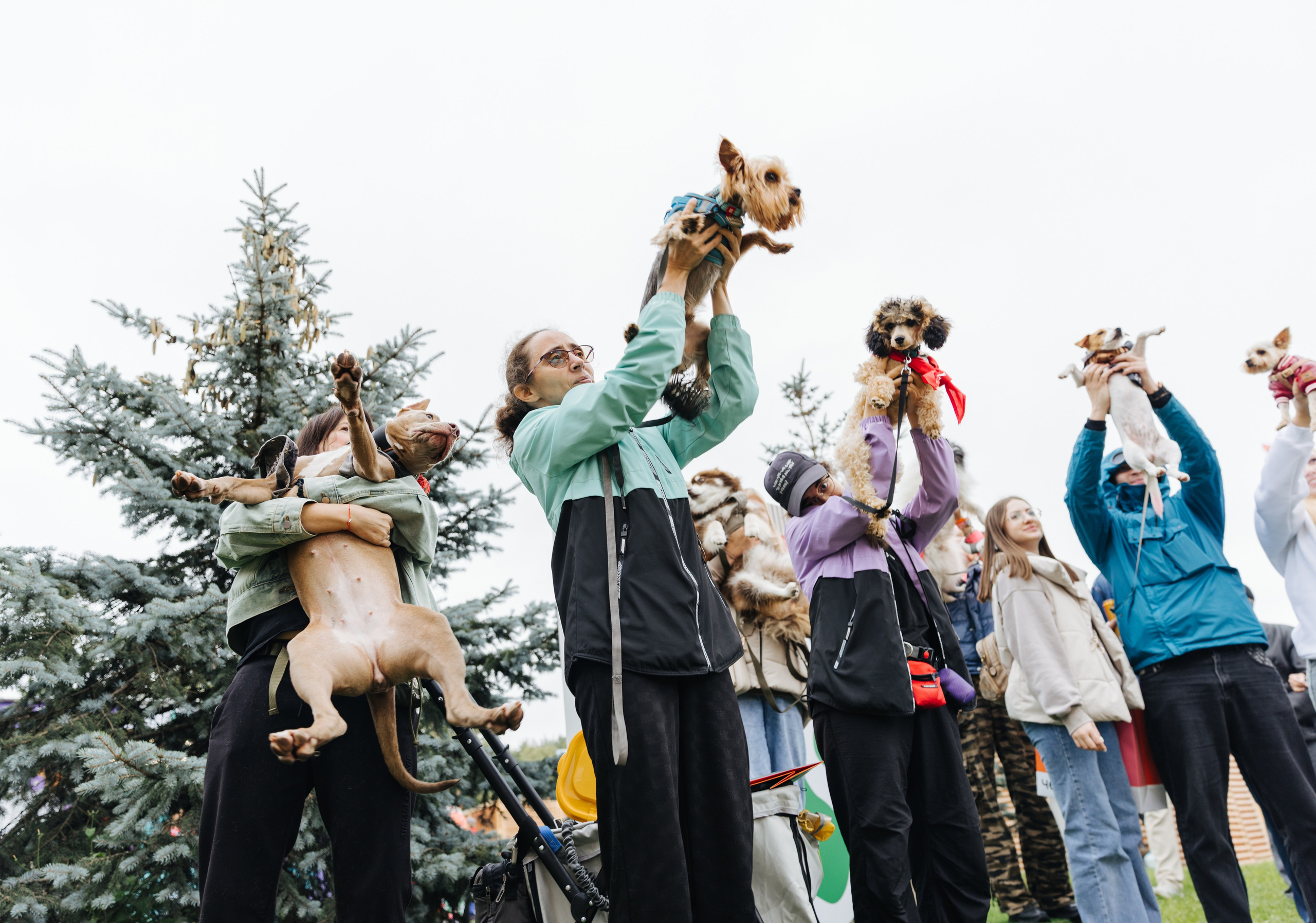 Хвостатый репортаж. Аксана Лисовская фотограф в Москве. Фотографии с характером