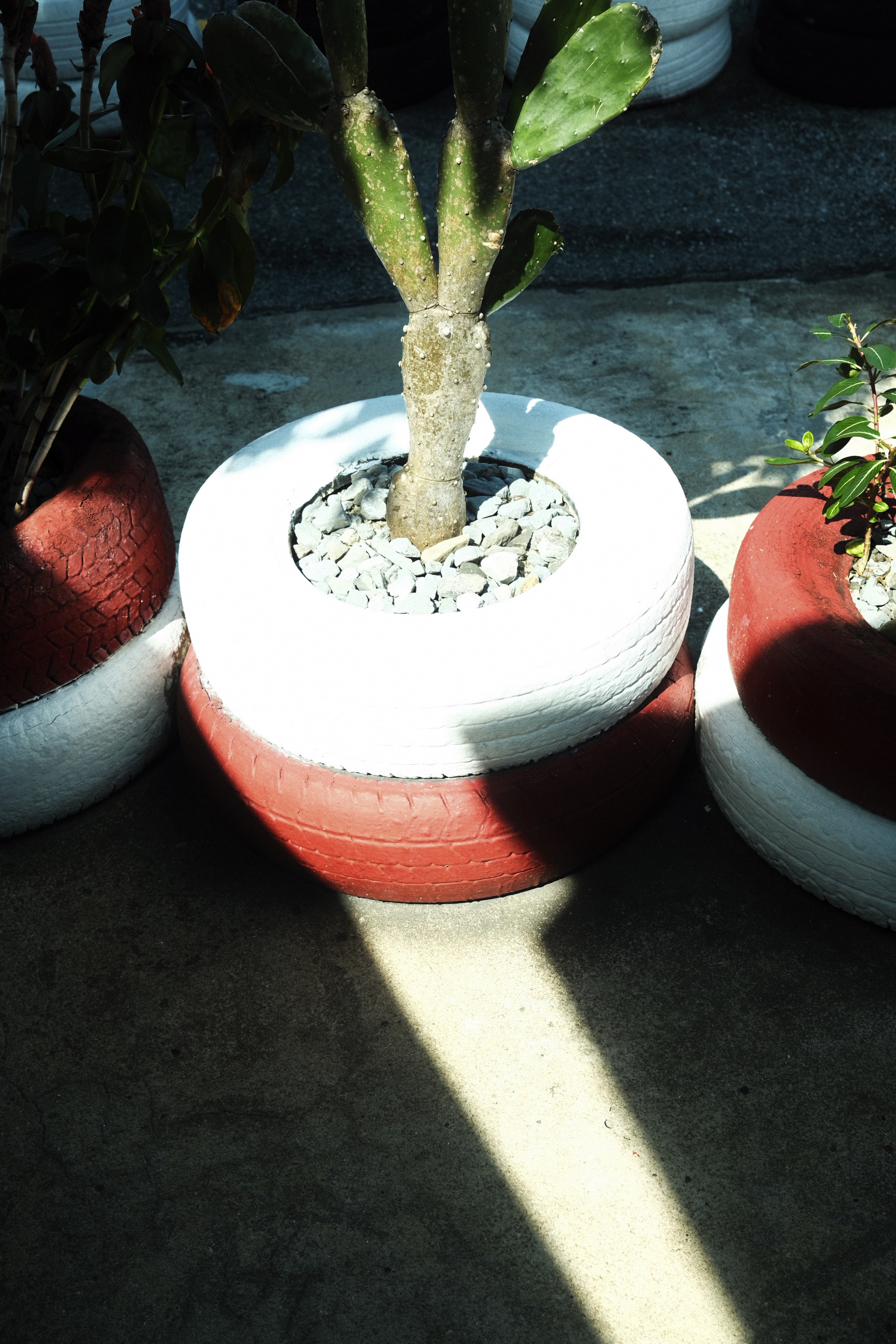 Nowhere and Everywhere. Портретный фотограф