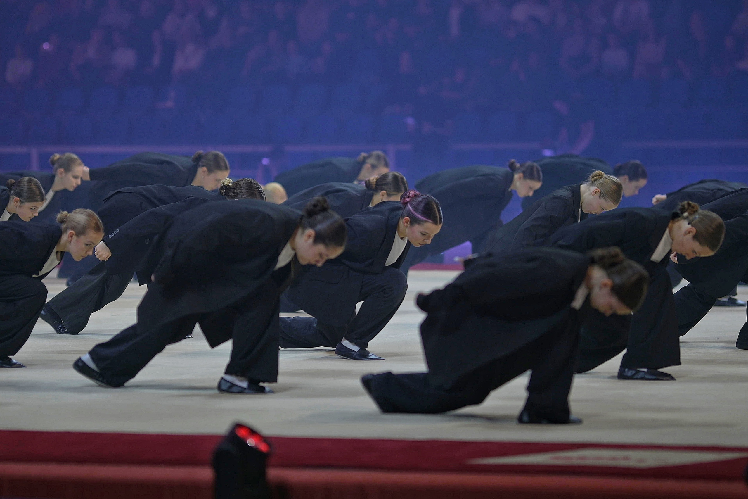 Шоу Алексея Немова 2024. Фотограф Ваших событий 📸