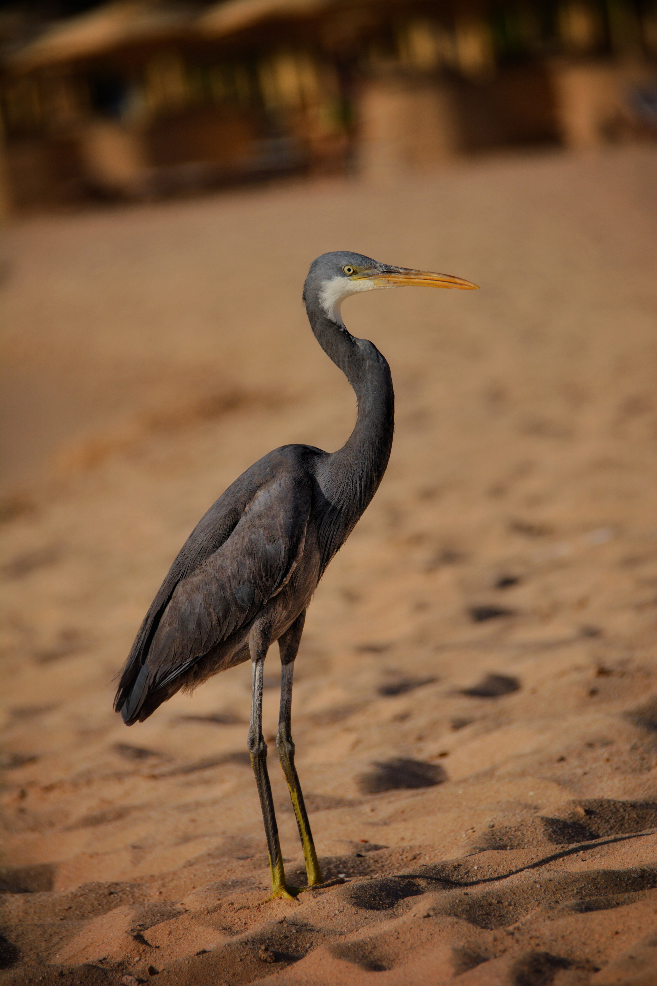 Мои работы. Фотограф Ваших событий 📸