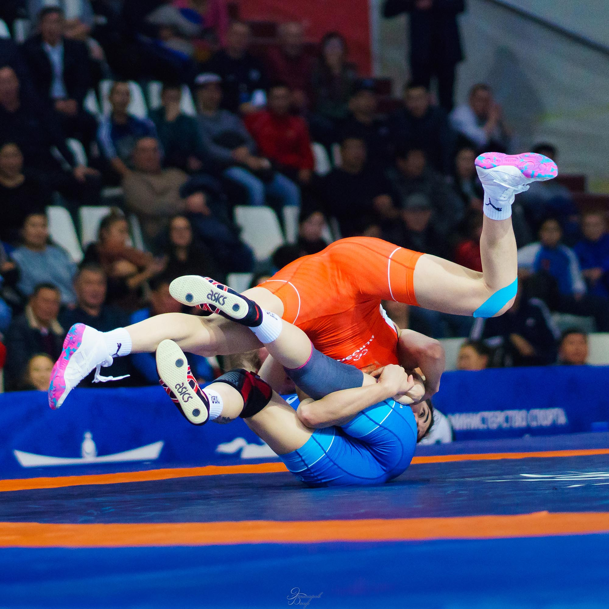 Чемпионат России по вольной борьбе среди женщин 2019. Фотограф Улан-Удэ Этагоров Баир