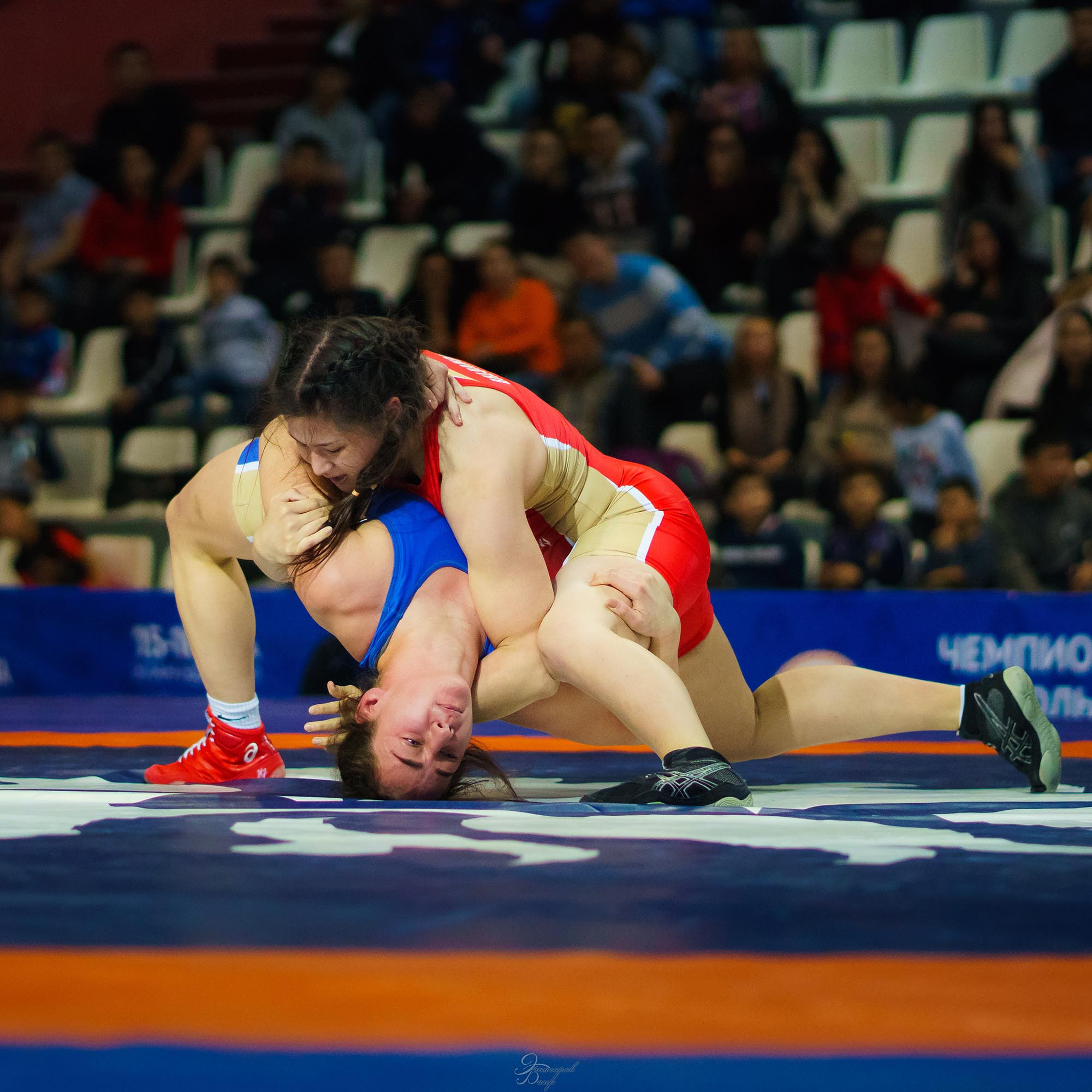 Чемпионат России по вольной борьбе среди женщин 2019. Фотограф Улан-Удэ Этагоров Баир