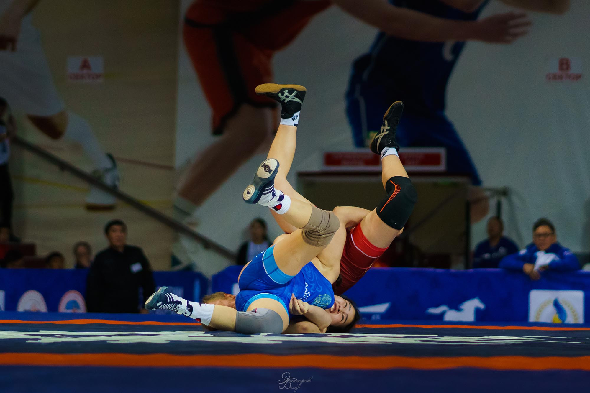 Чемпионат России по вольной борьбе среди женщин 2019. Фотограф Улан-Удэ Этагоров Баир