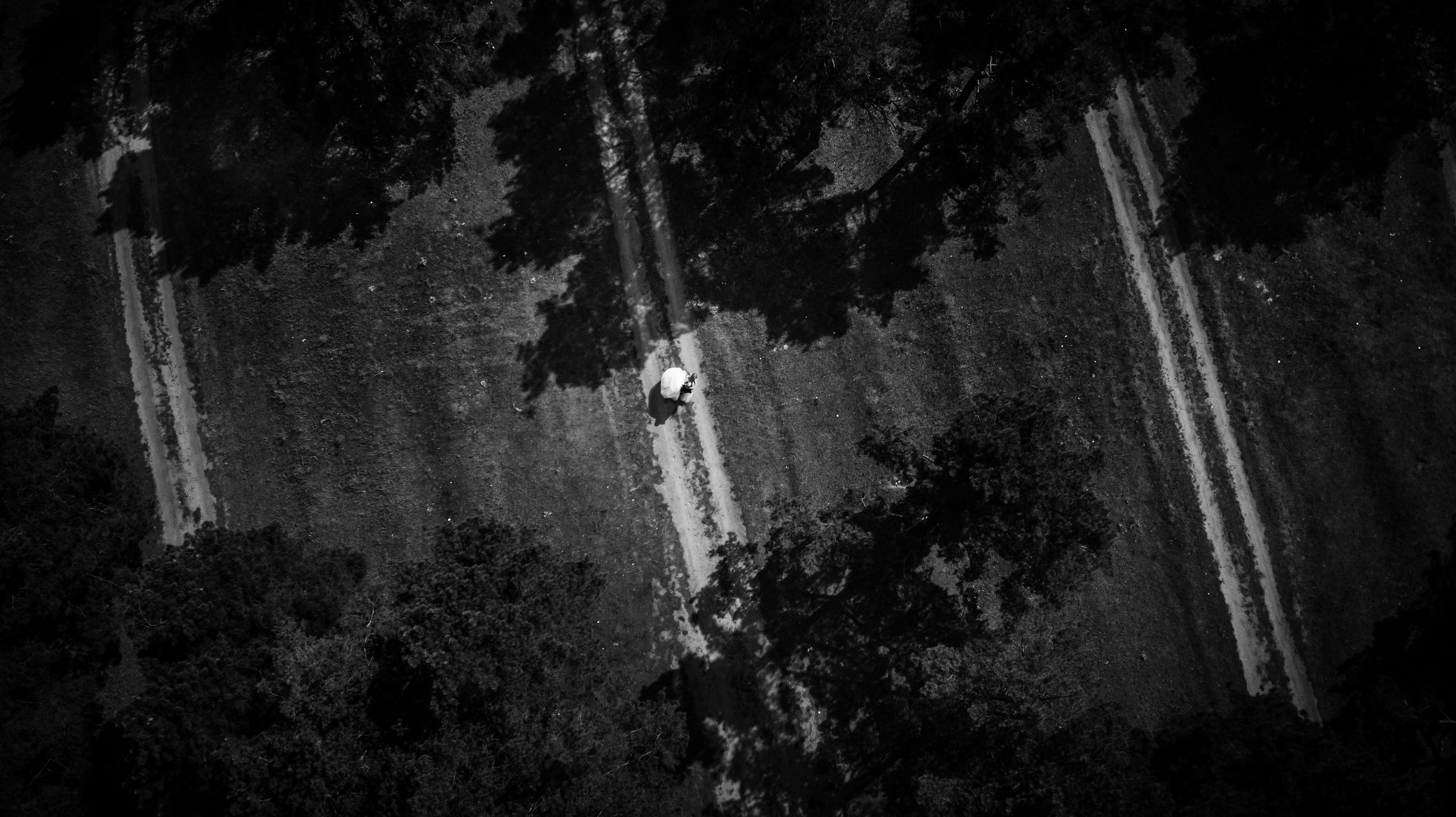 Свадьбы. Семейный фотограф в Волгограде Елена Нестерова AWORETSEN