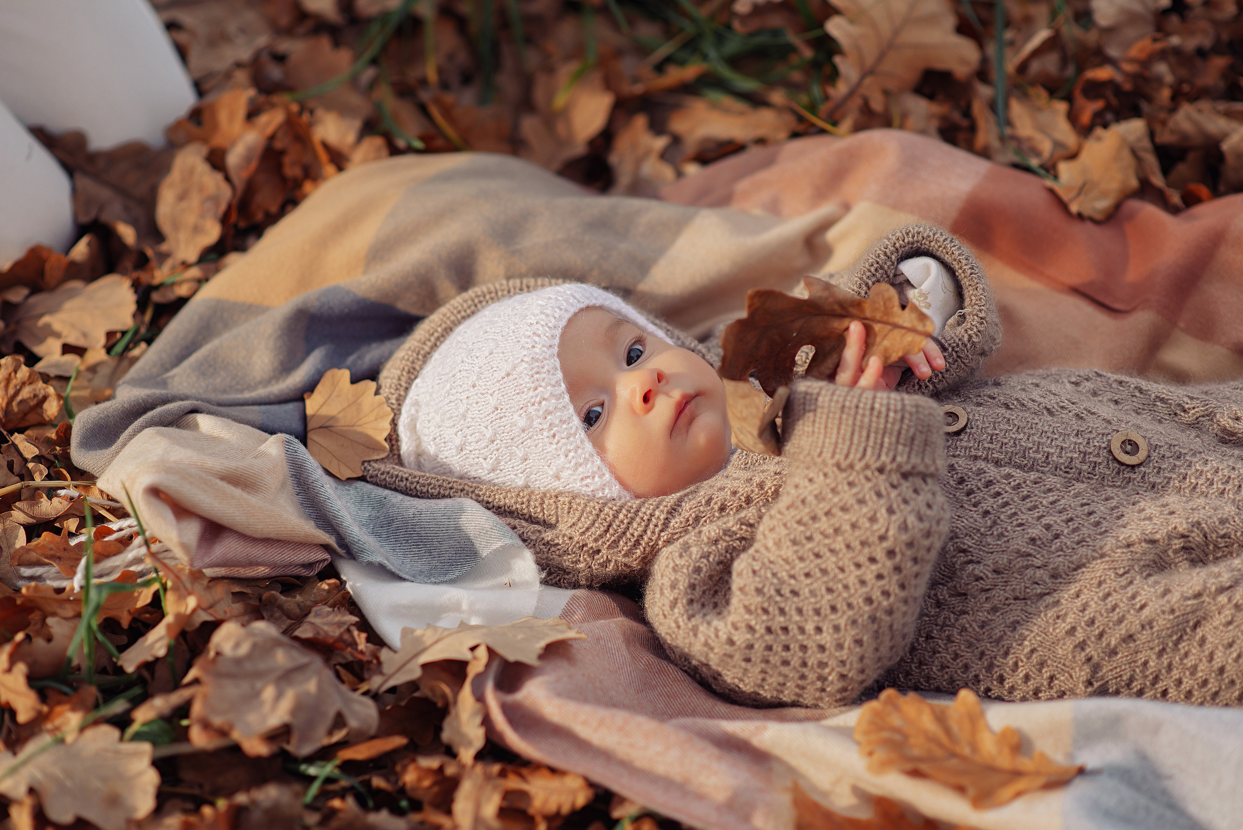 Семейная съёмка. Анастасия Русяева — профессиональный фотограф в Москве