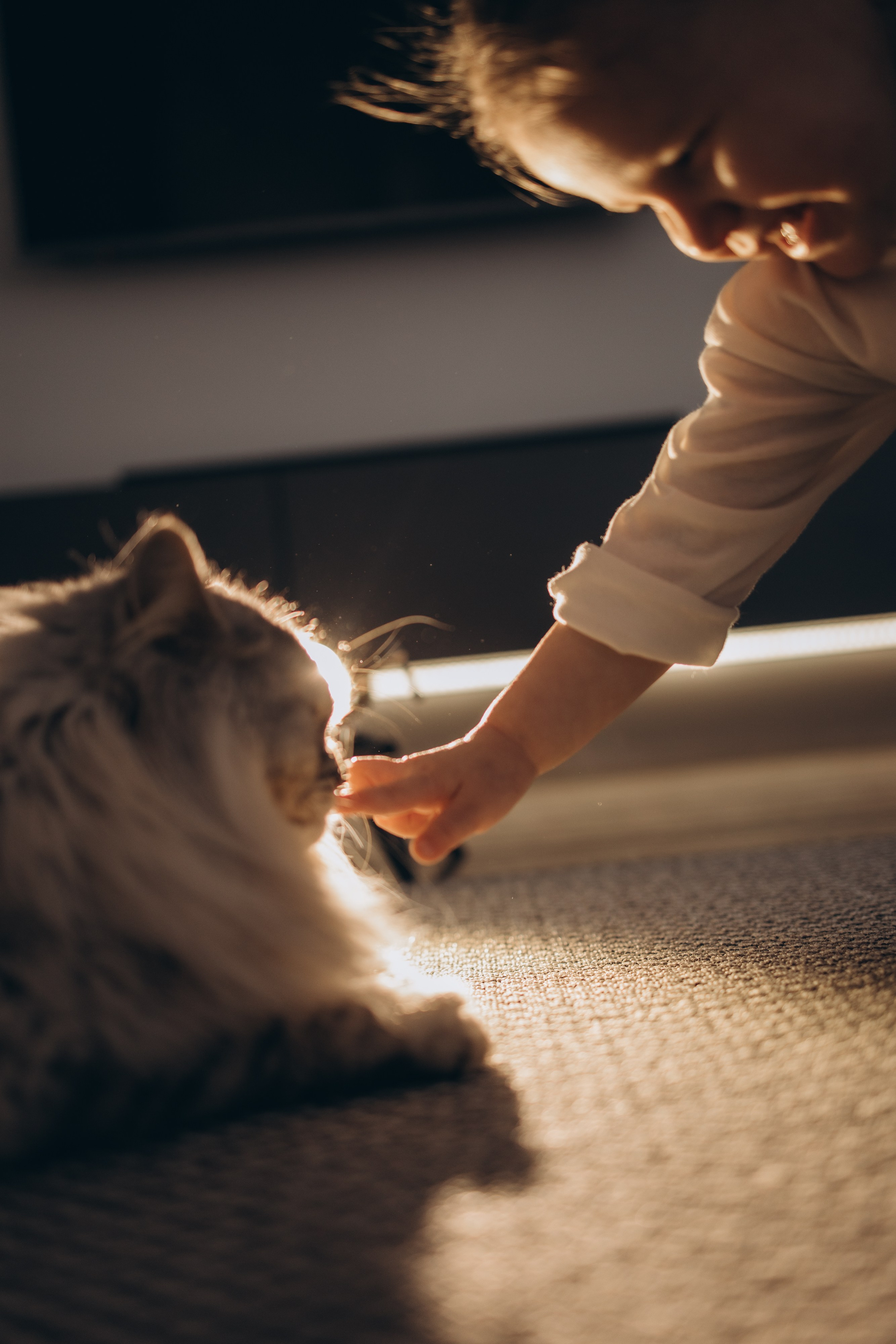 Миюше 2 годика