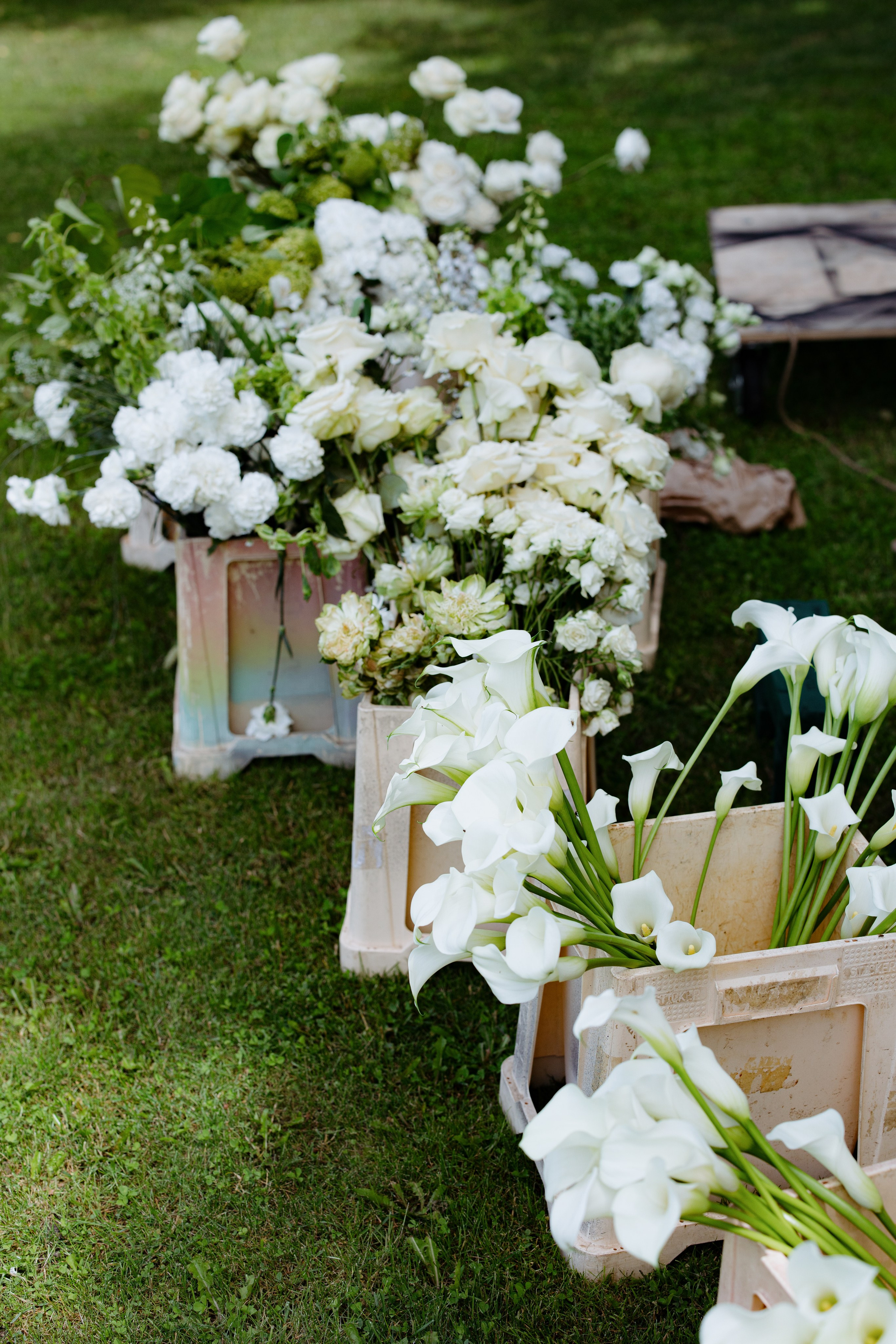 Влад и Алена | 2024. Свадебный фотограф и видеографы Минск