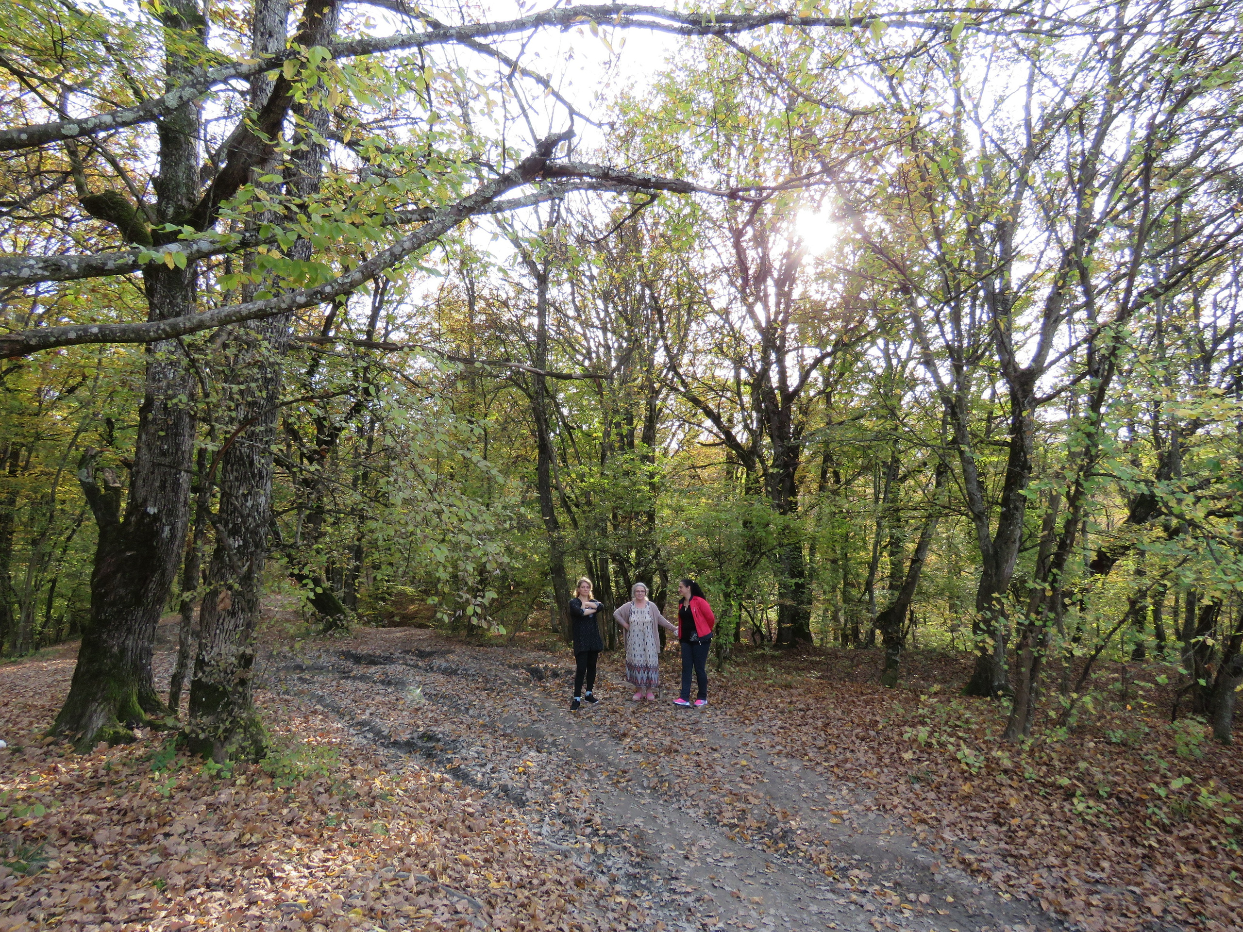 Мамочка дорогая, Царствие Небесное!. Собор Отрасли