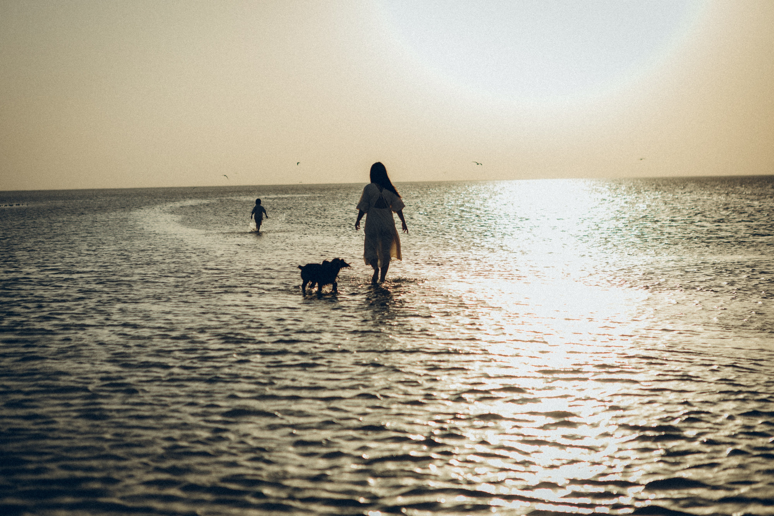 Family moment 💫. Семейный фотограф и фотограф на роды в Ростове-на-Дону Мухина Виктория
