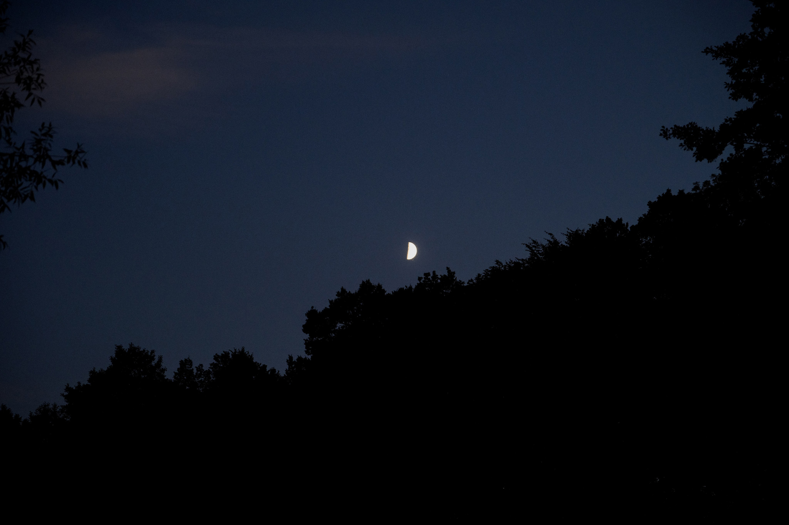КИРИЛЛ И ИРА. Свадебный фотограф Минск