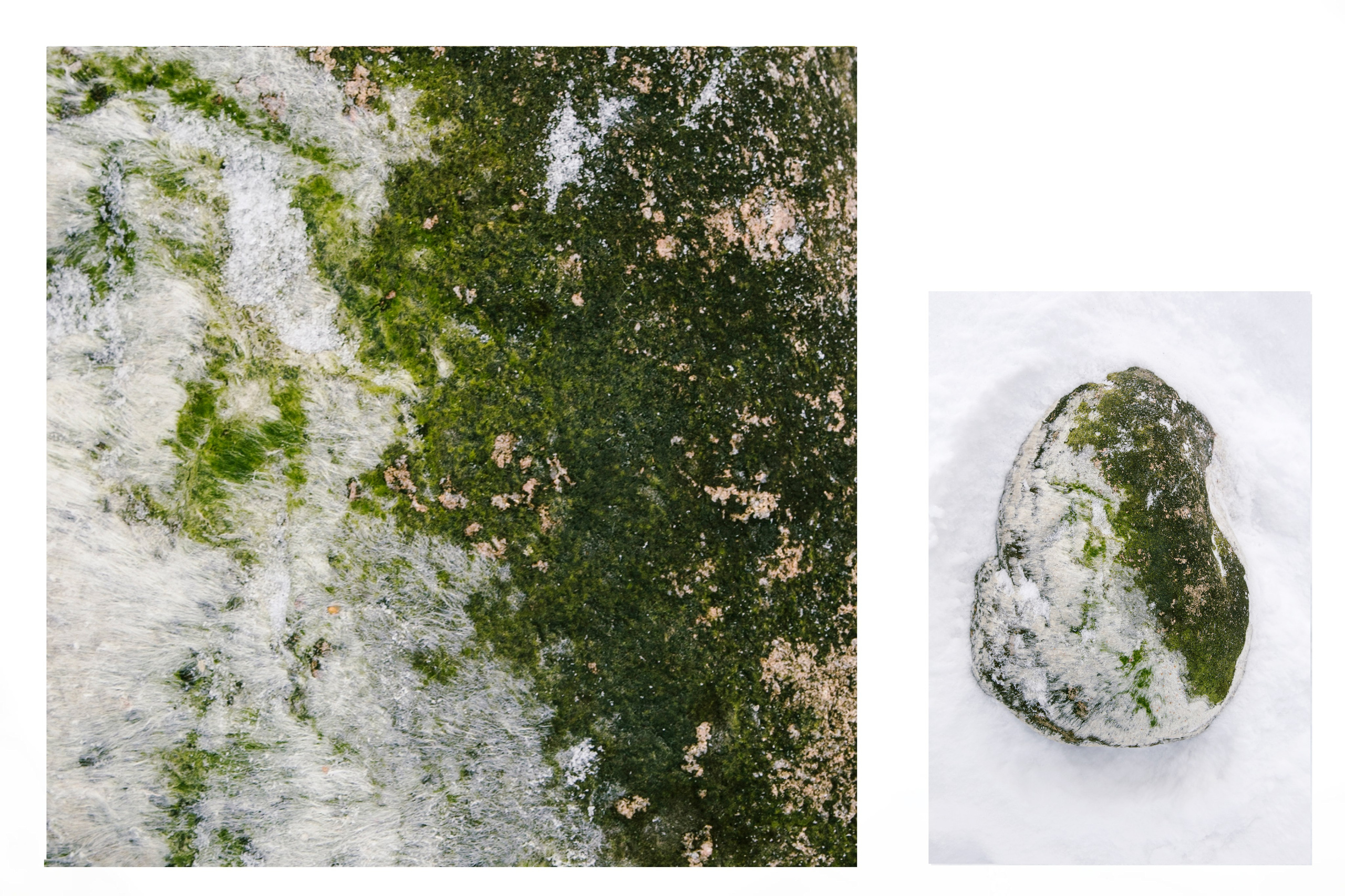 Камни. Портретный фотограф Таня