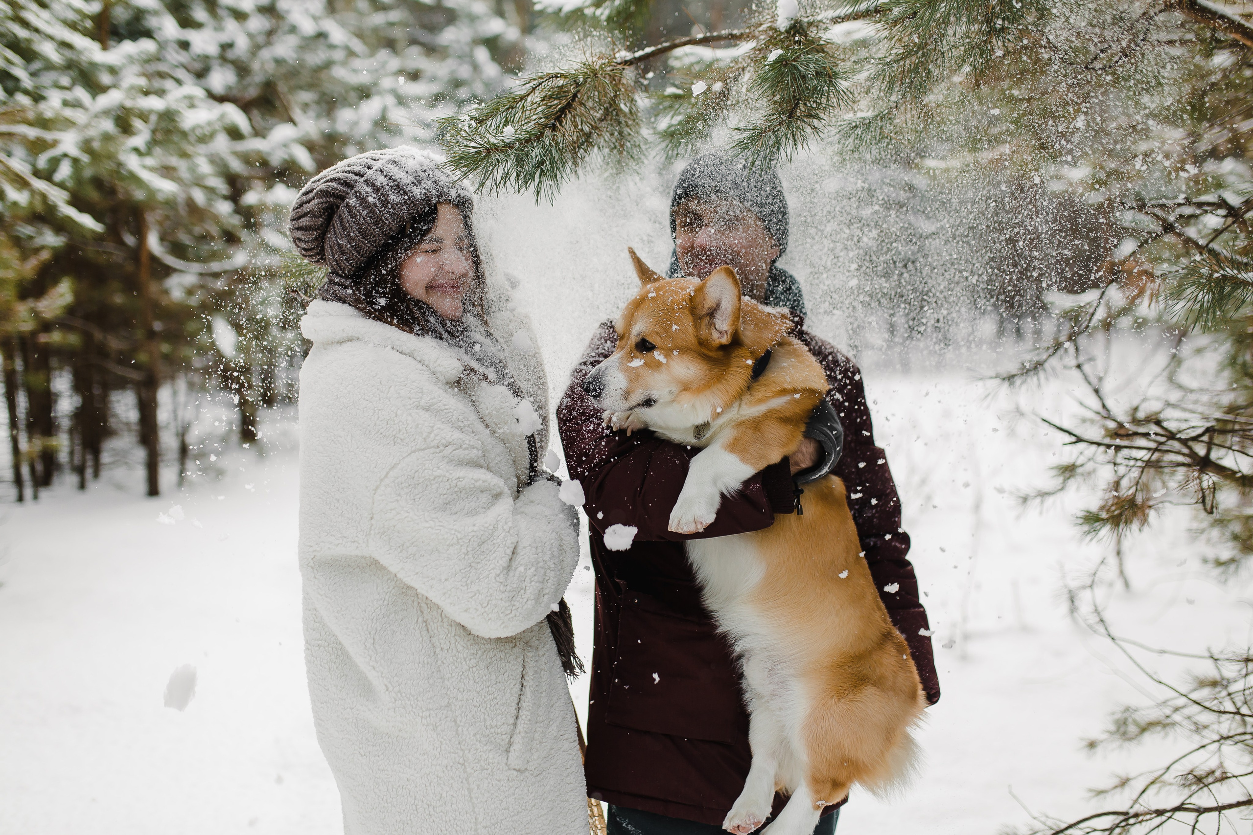 Дима и Даша. Свадебный и семейный фотограф в Томске Алексей