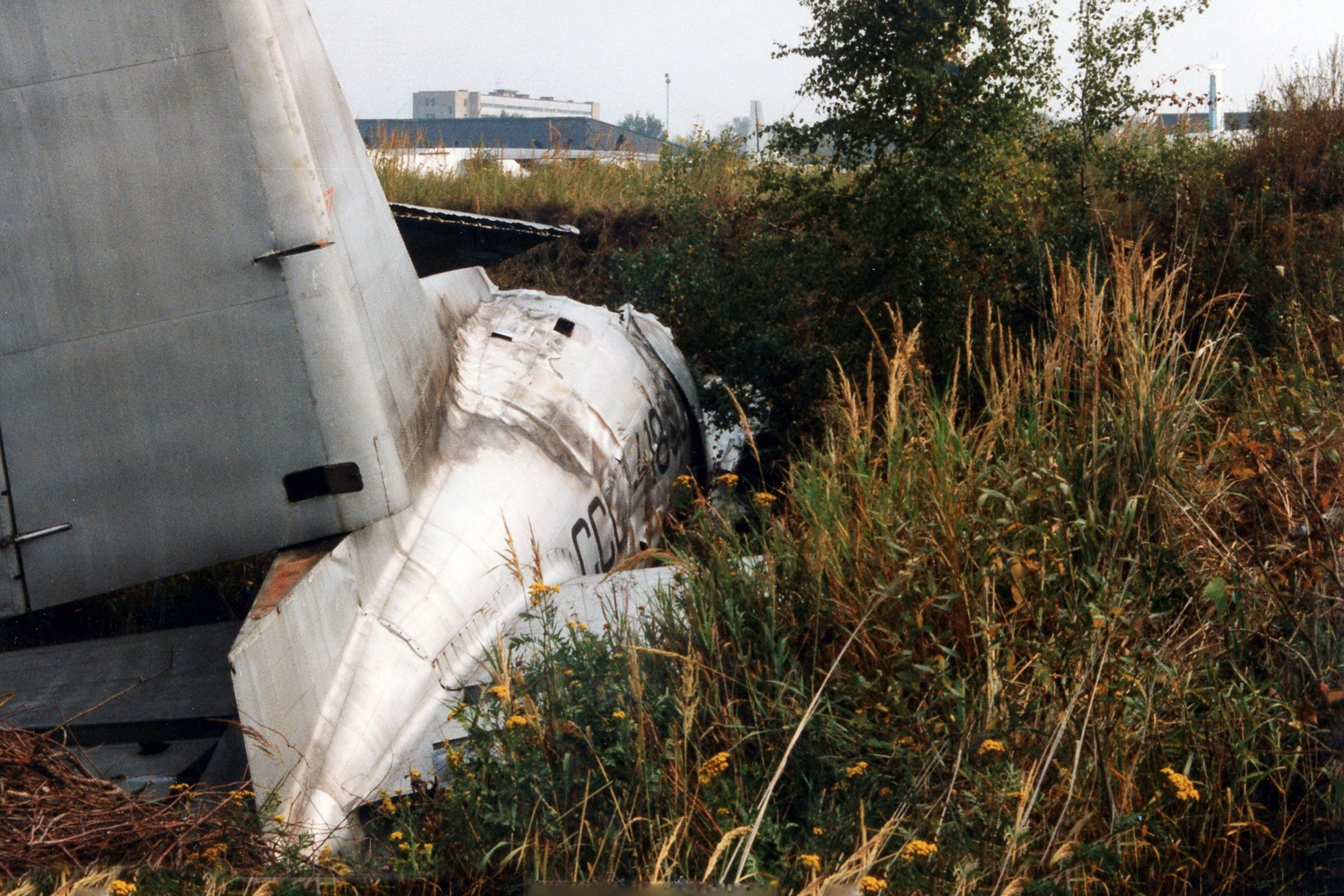 Ил-14 (Монино) — уничтожен. Фотоальбом показывающий увлекательный мир авиации и мир медведей Андрея Иванова