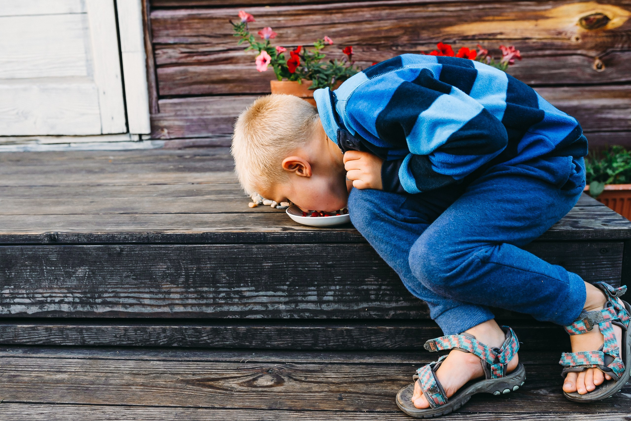 Дачная история. Свадебный и семейный фотограф в Минске Филиппович Александр